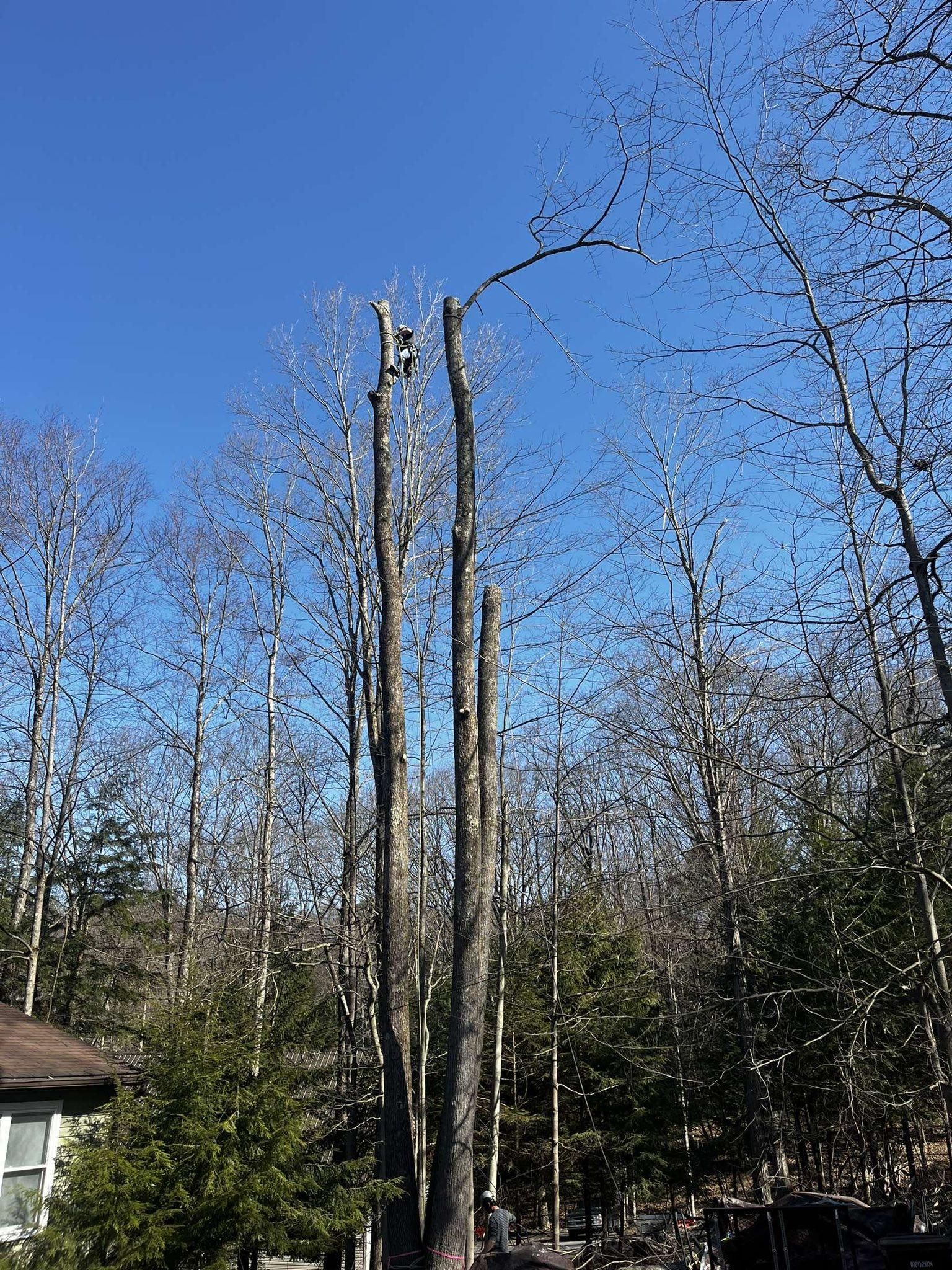  for J&E Tree & Excavation Services in Sandy, PA