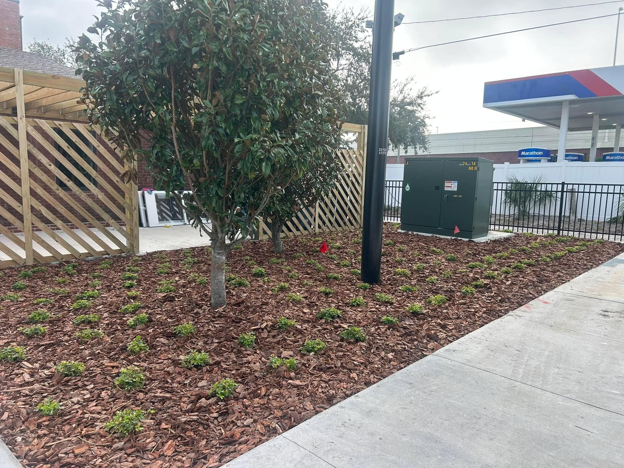  for New Era Lawn Care & Landscaping in Lakeland,  FL
