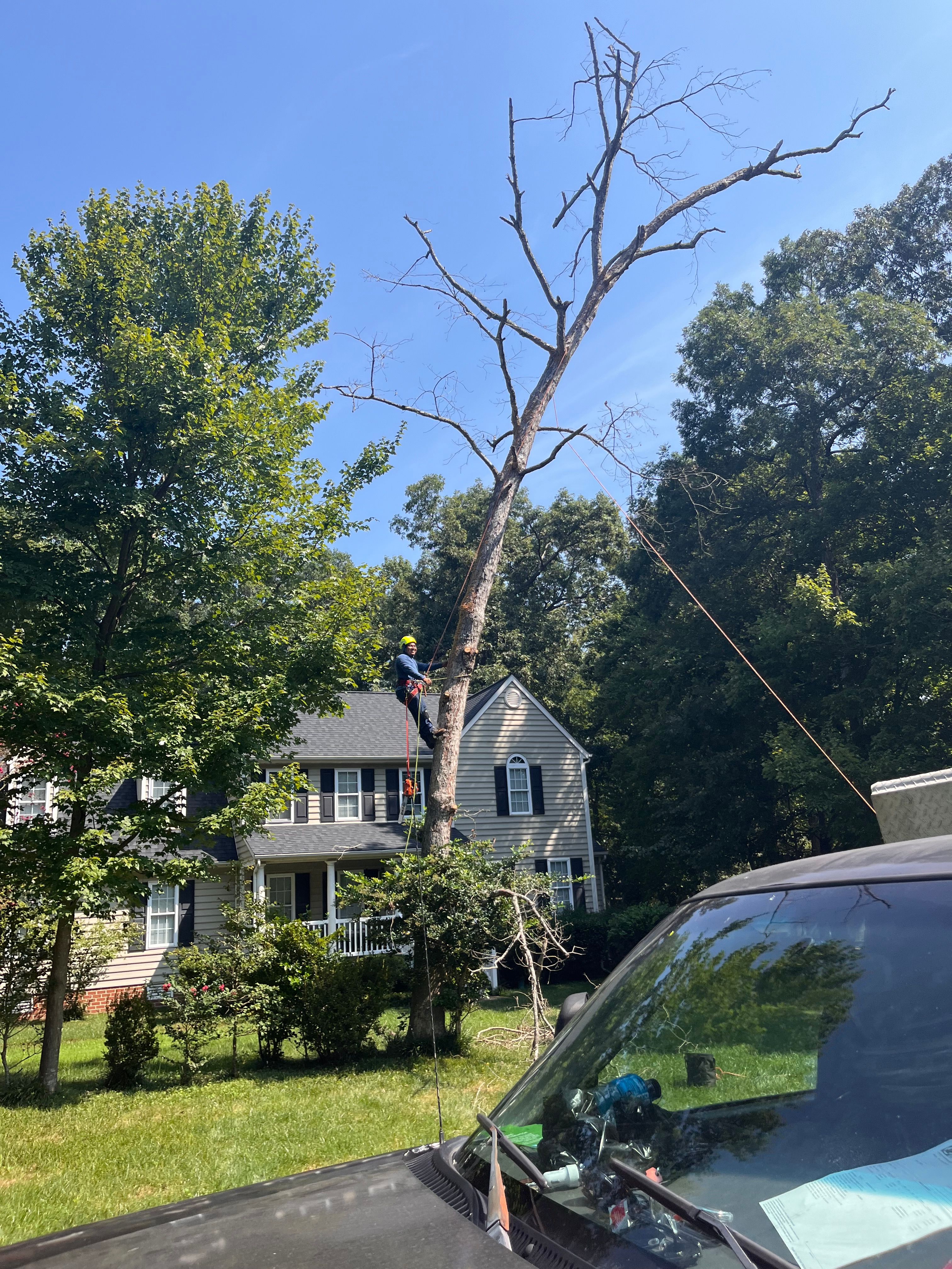  for Ricky's Tree Service & Property Care in Orange, VA