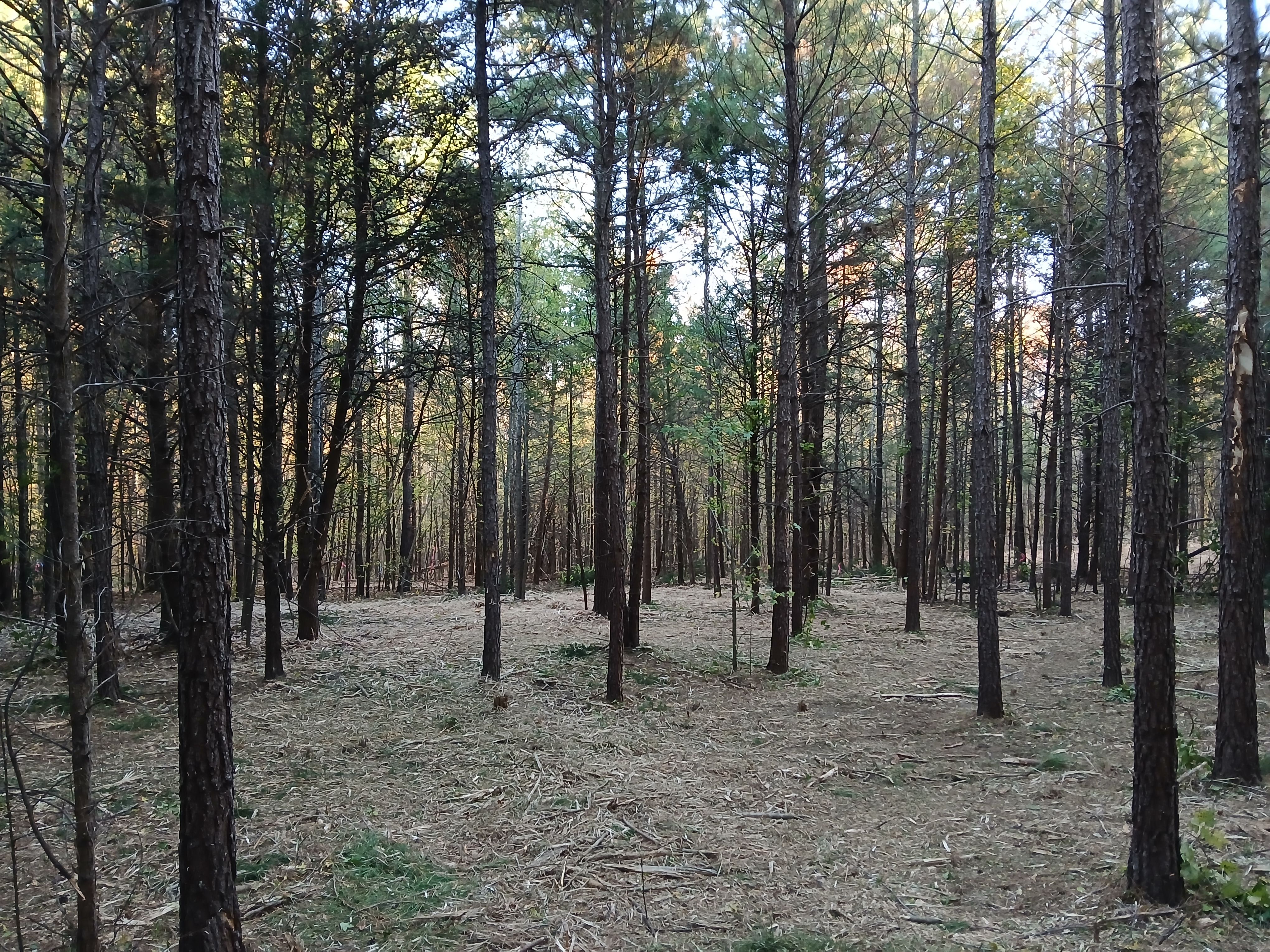  for Whiskey Ridge Mulching & Land Services in South Boston, VA