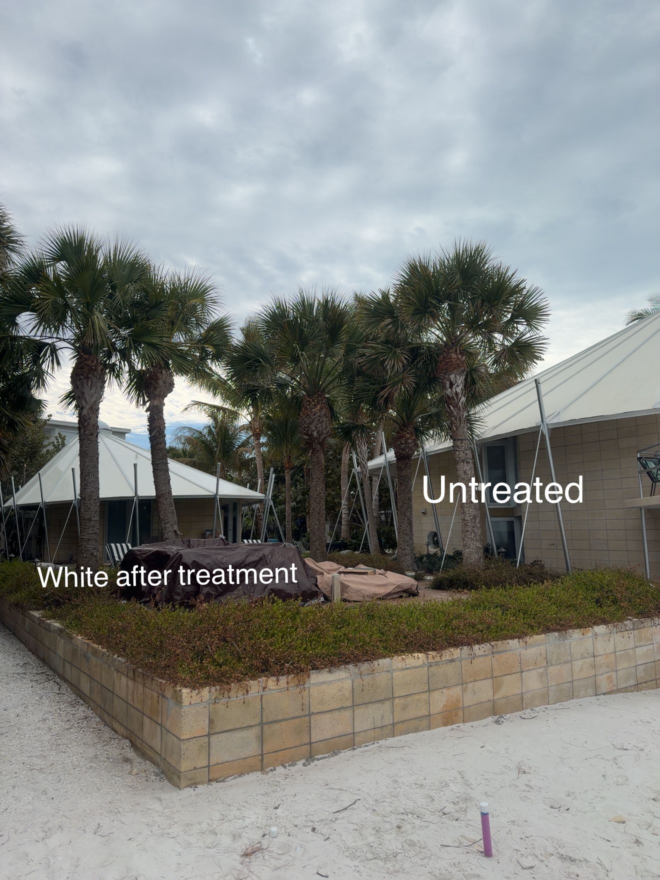  for My Soft Wash Guys in Venice, FL