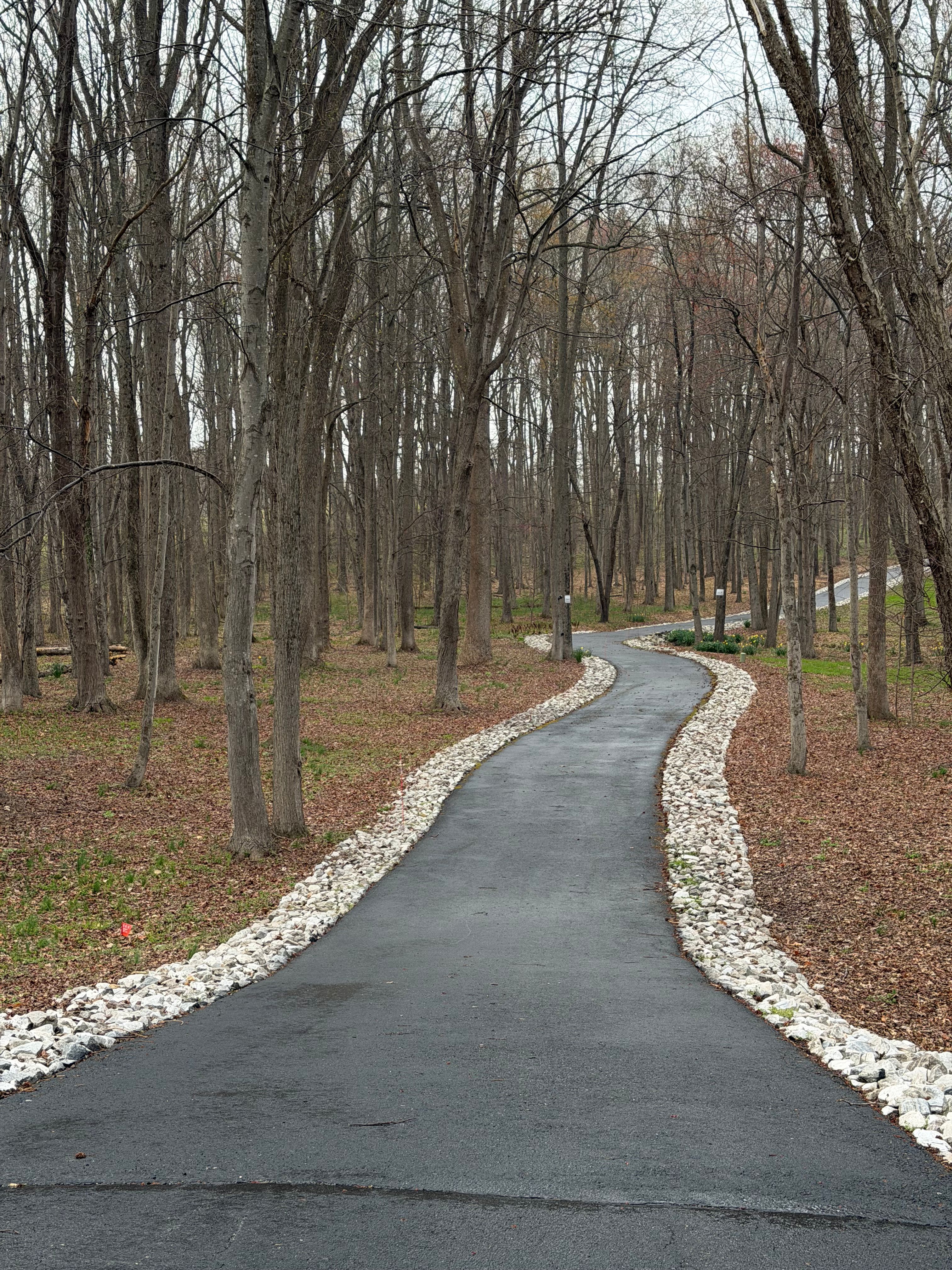  for Galvez Contractor LLC in Glen Burnie, MD