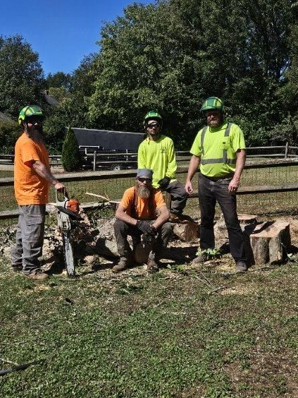 Tree Removal for Diversified Tree Company in Trinity, NC