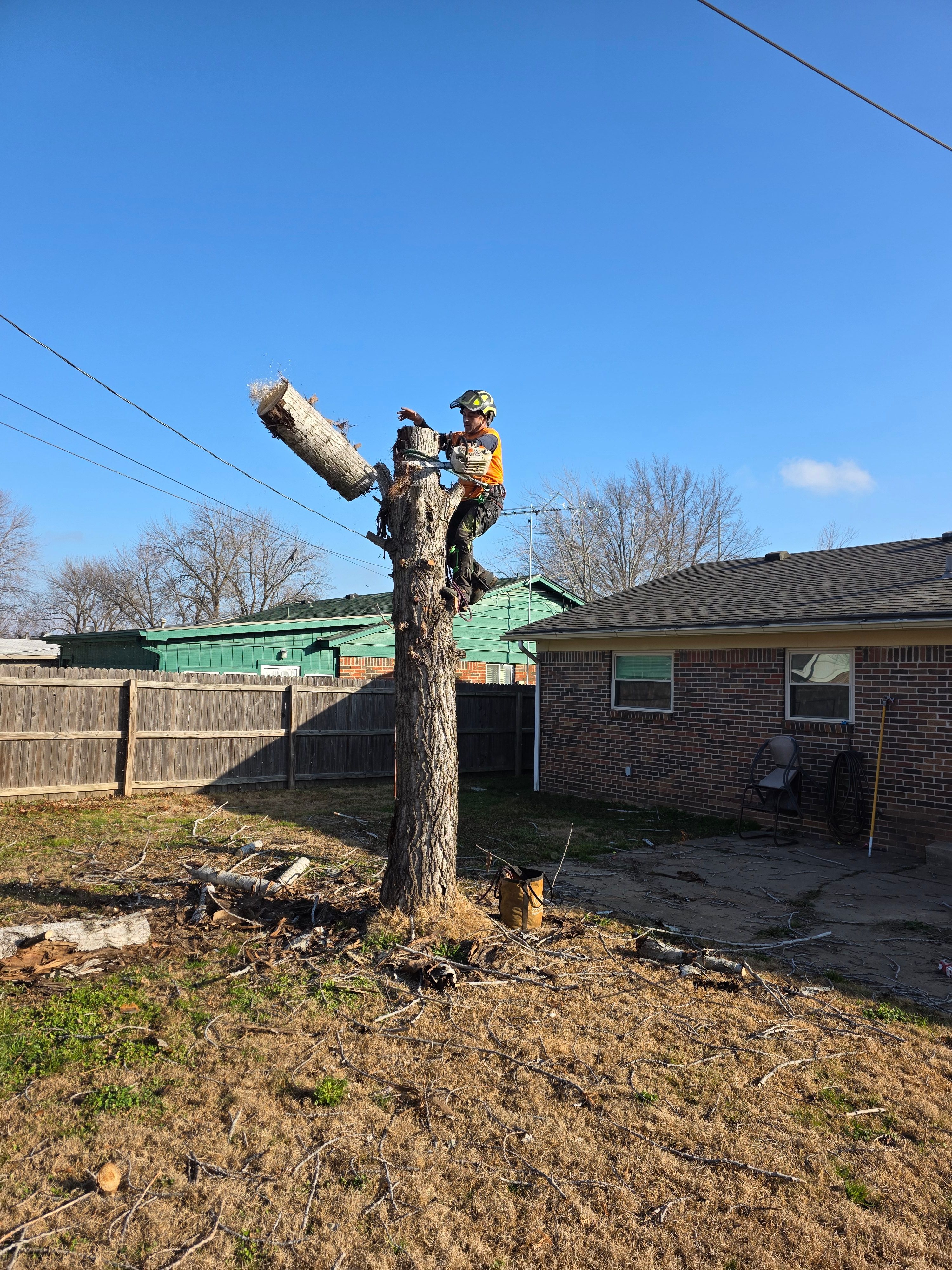  for Oklahoma Tree Guy in Bartlesville, OK