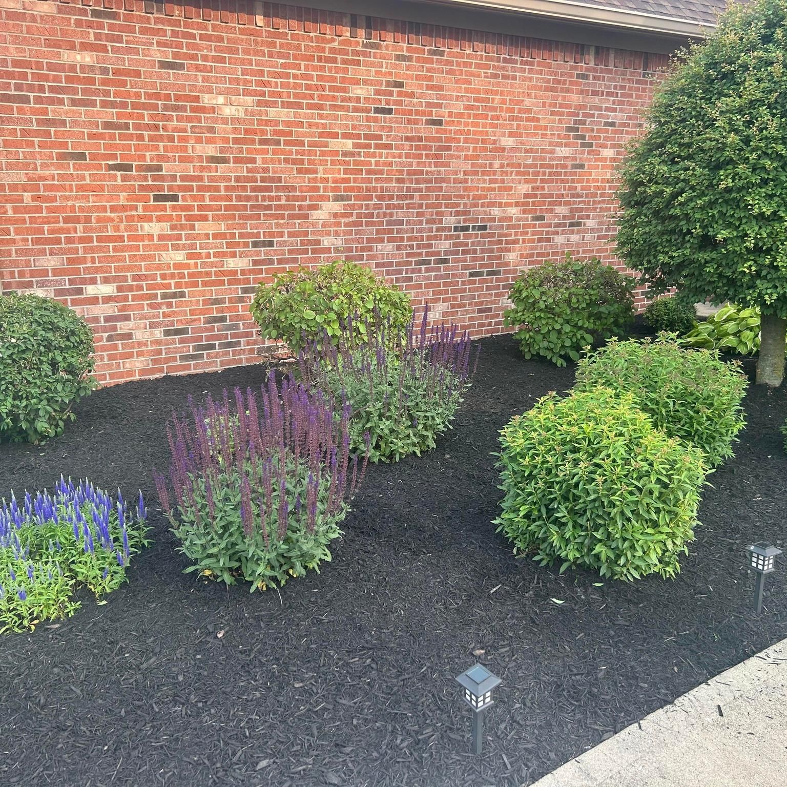  for Bearforce Lawn Care LLC in Greenfield, IN