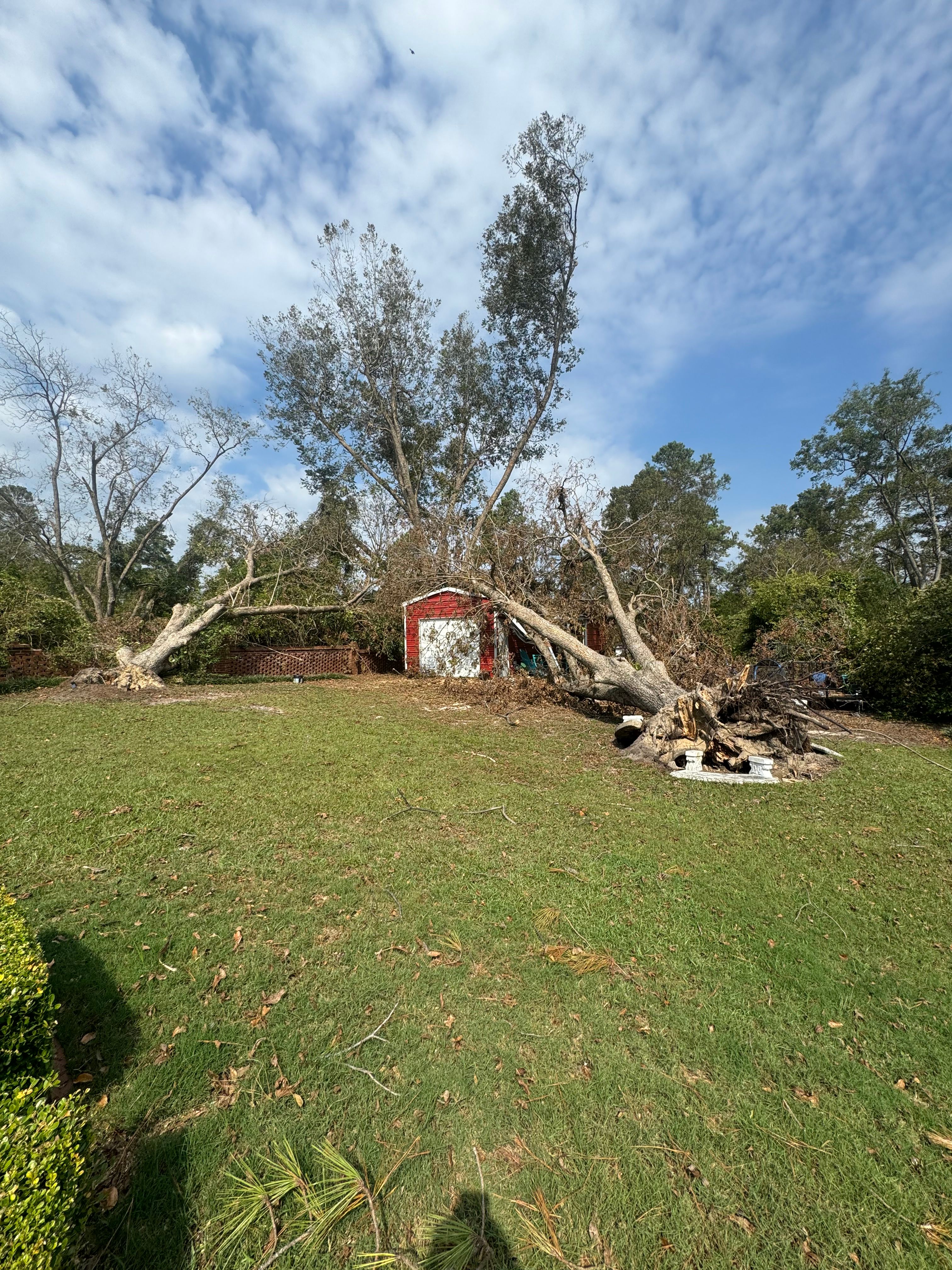 All Photos for F&CO Excavation in Clinton, TN