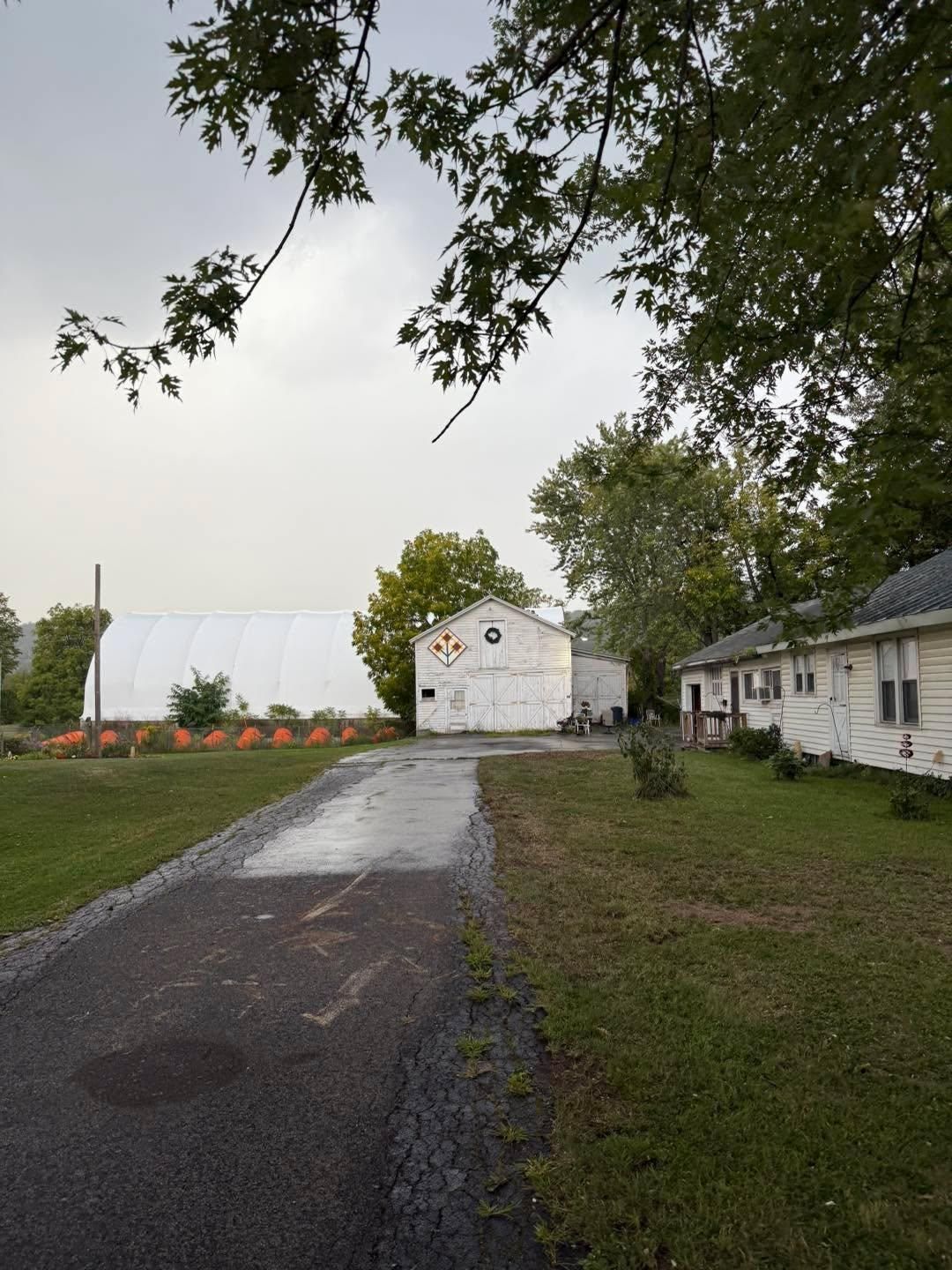  for Sterlings Tree Removal in Cobleskill, New York