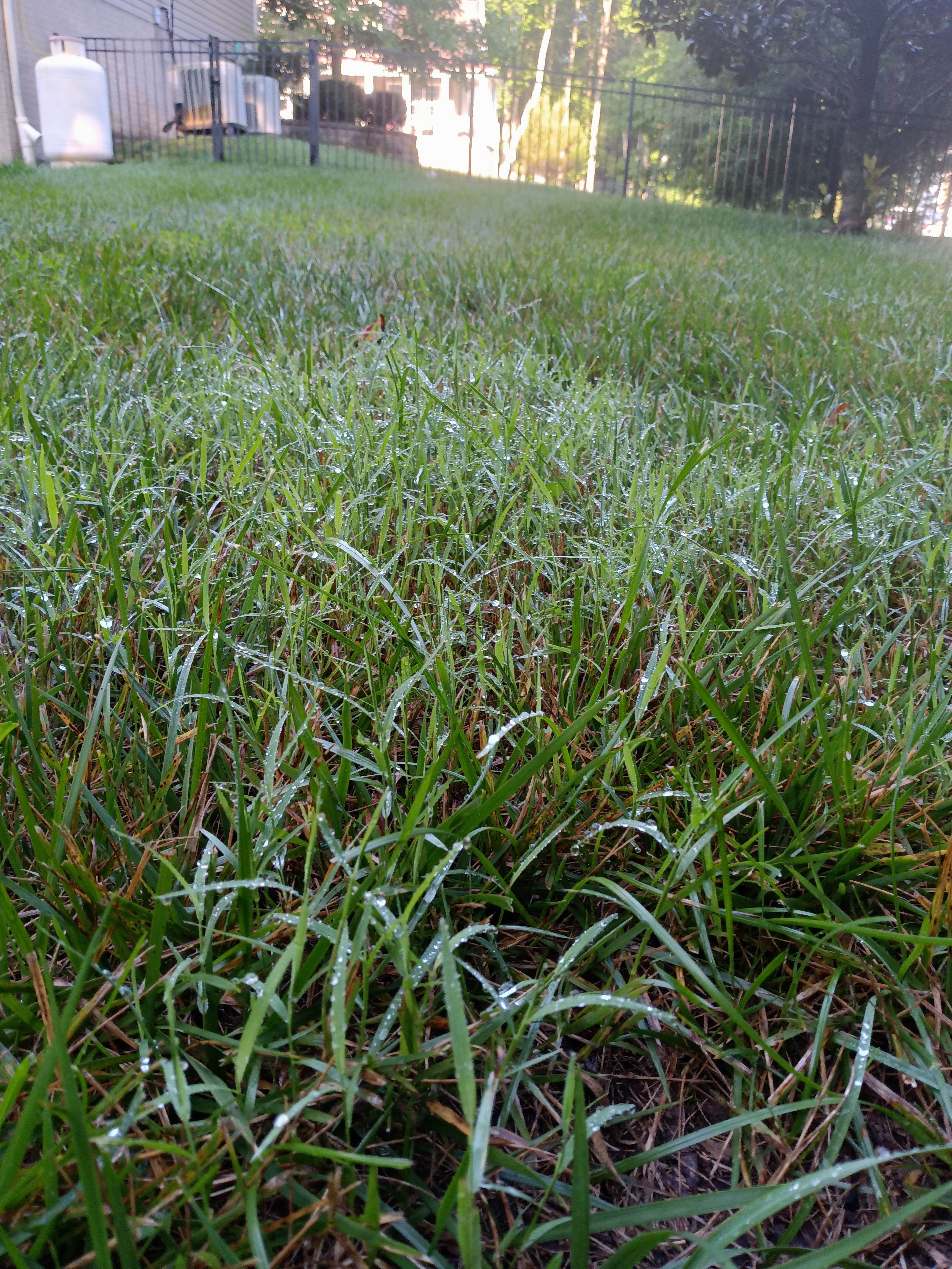  for Sam I AM Property Solutions in Sunderland, MD