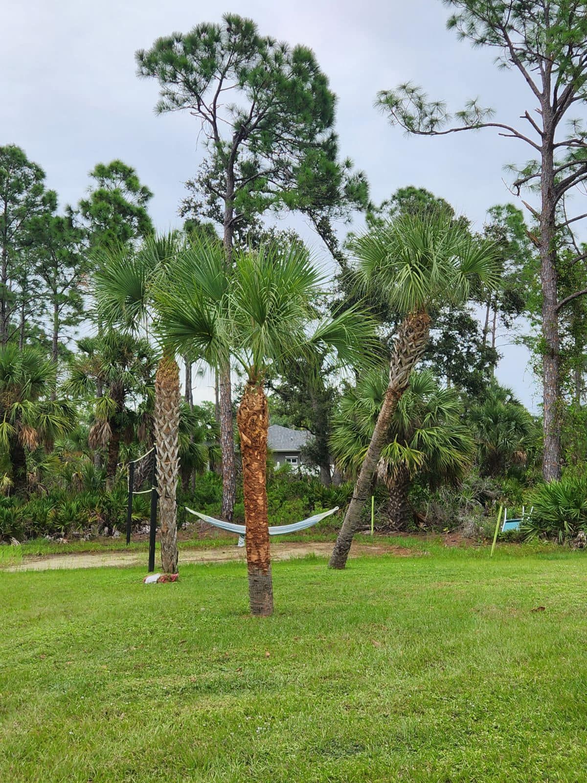  for Nick of Time Tree Service in North Port, FL