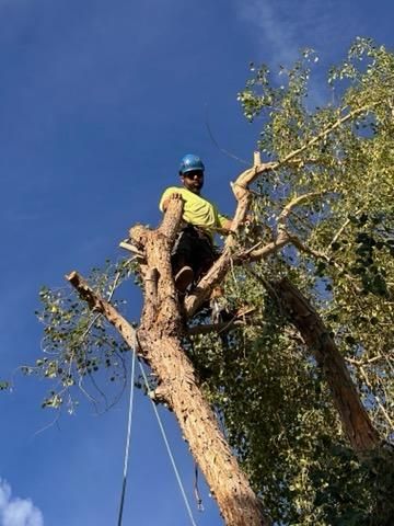  for American Dream Landscape Company in Surprise, AZ