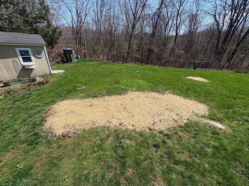  for MB Landscaping & Property Services in Barkhamsted, CT