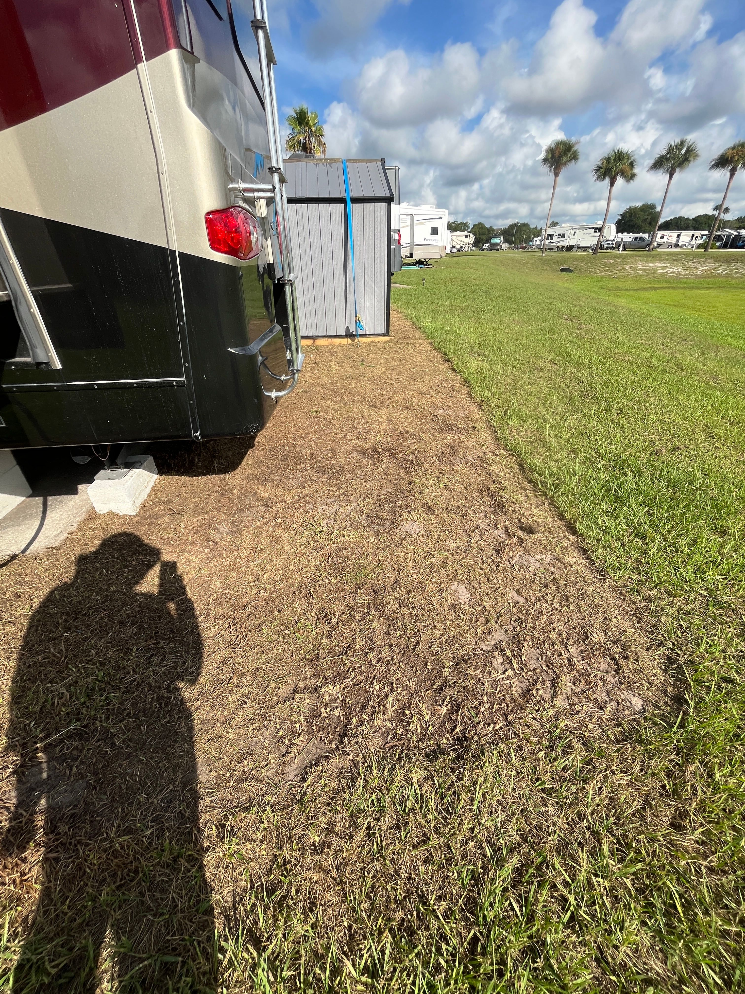 Tree Services for Ludlows Services in Clermont, FL