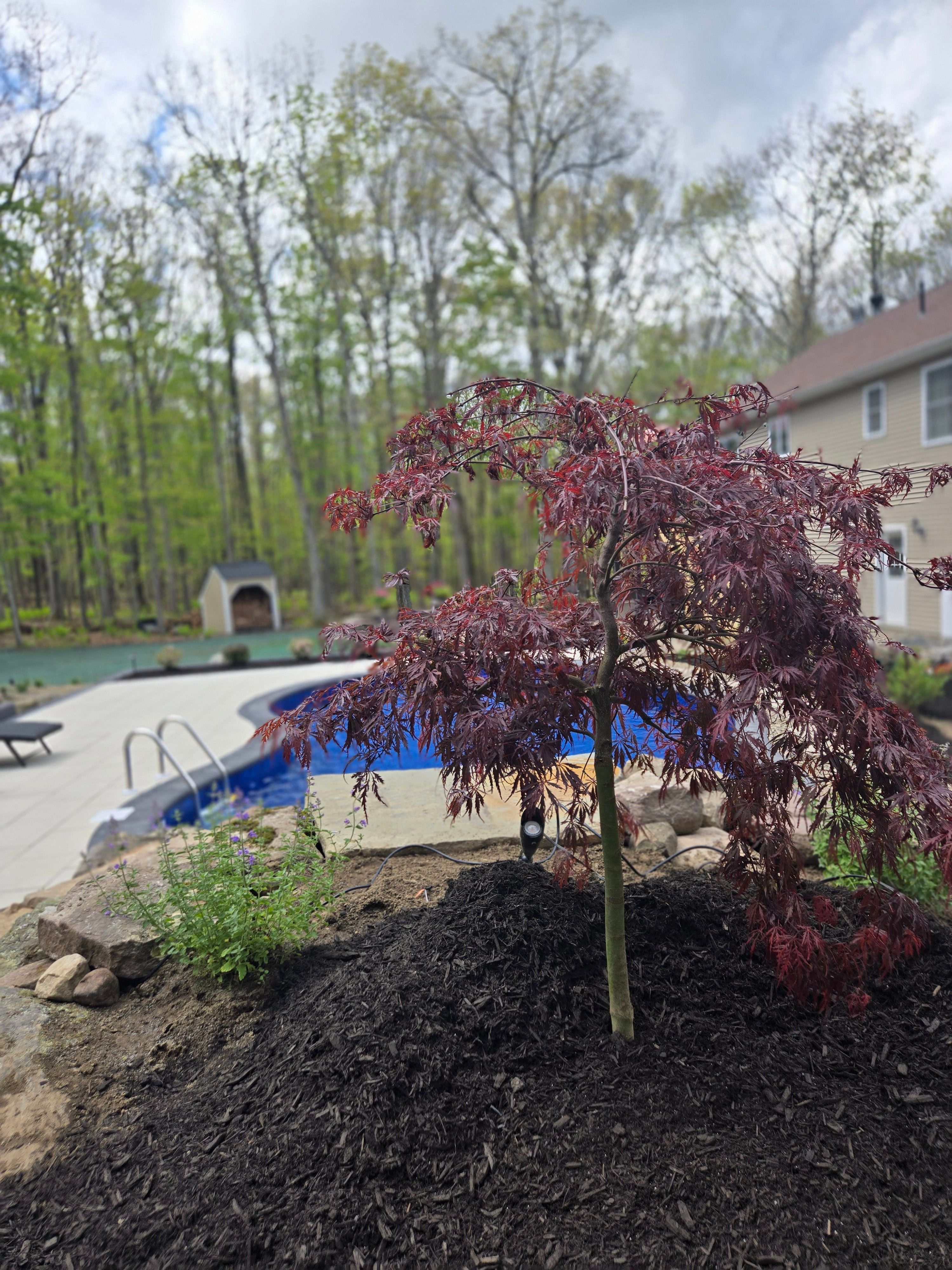  for Tony Monaco Landscaping Inc. in Orange County, NY