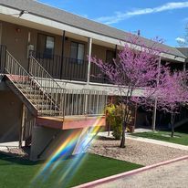 All Photos for Tree Service Miracles in Albuquerque, NM