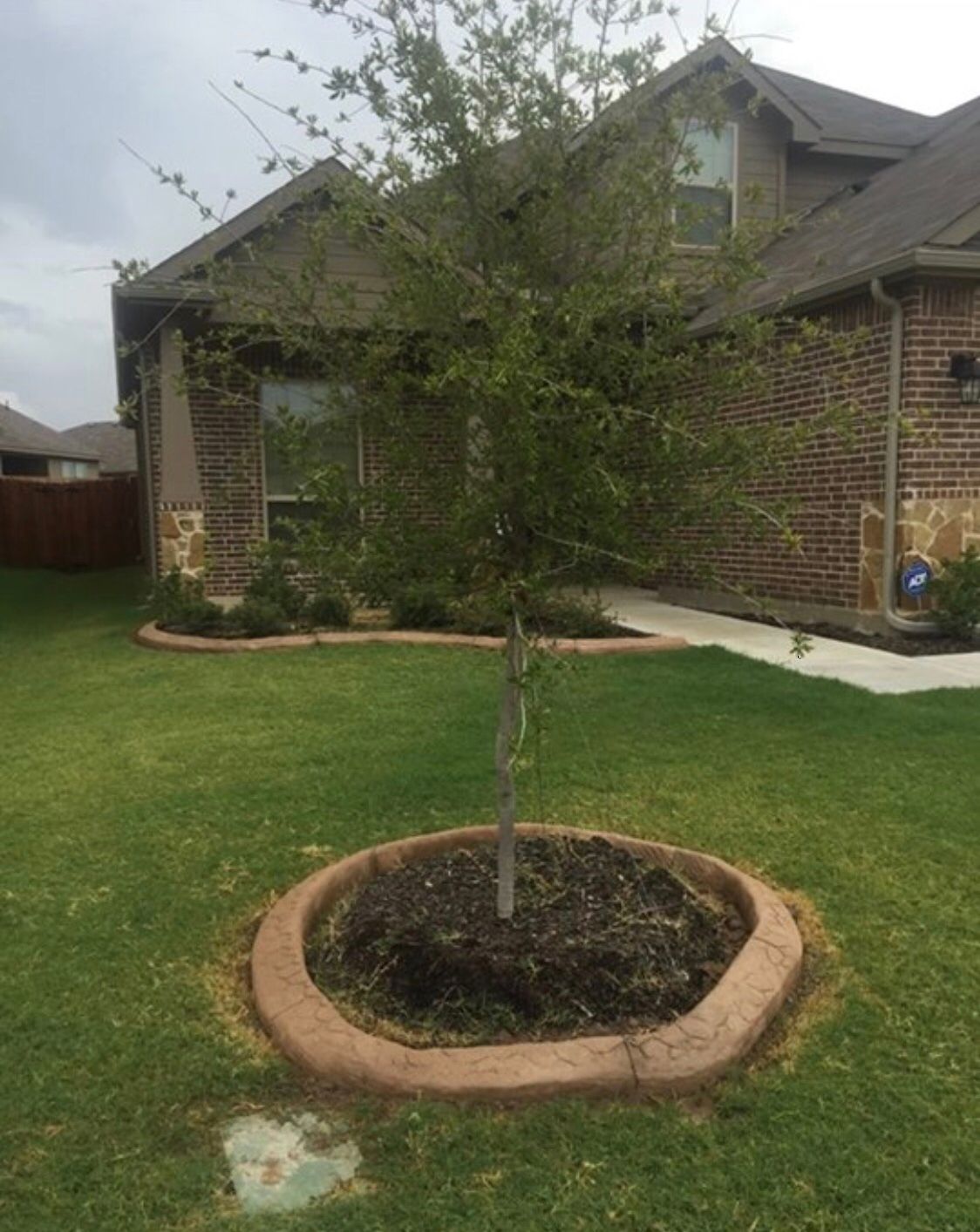  for Texas Curb N Borders in Houston, TX