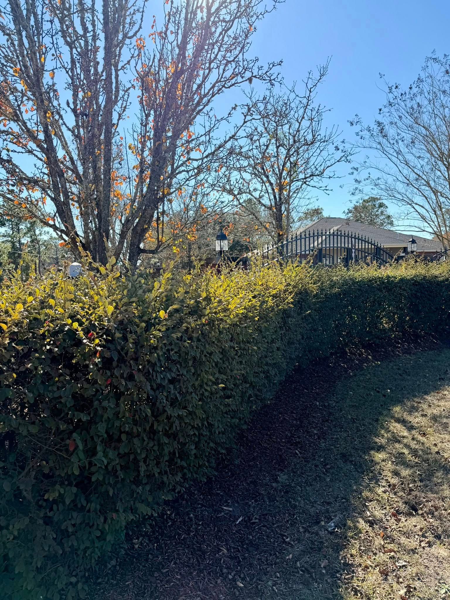  for Old Florida Lawncare in Baker, FL