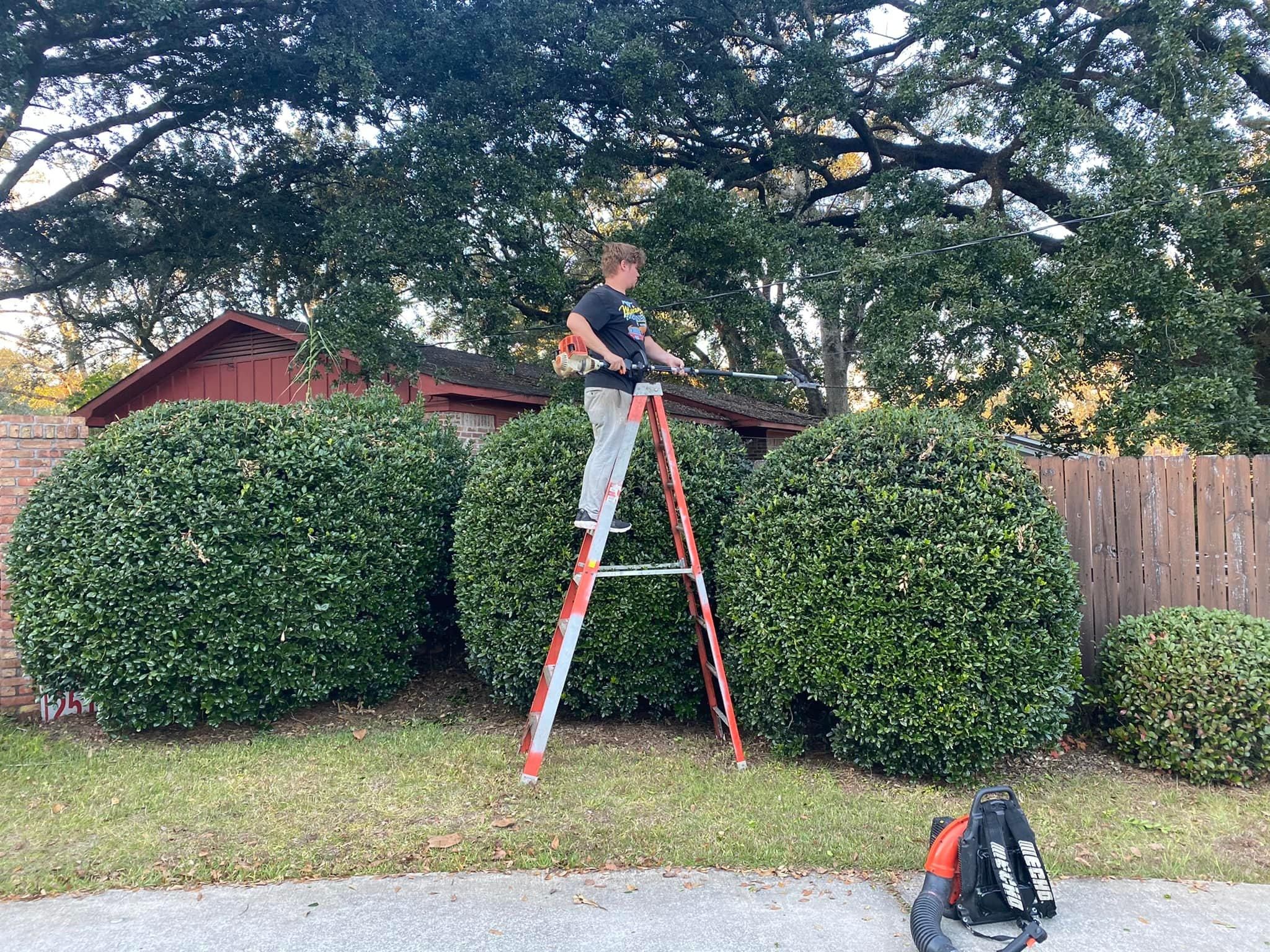  for All-Star Lawn Care & Soft Washing in Mobile, AL