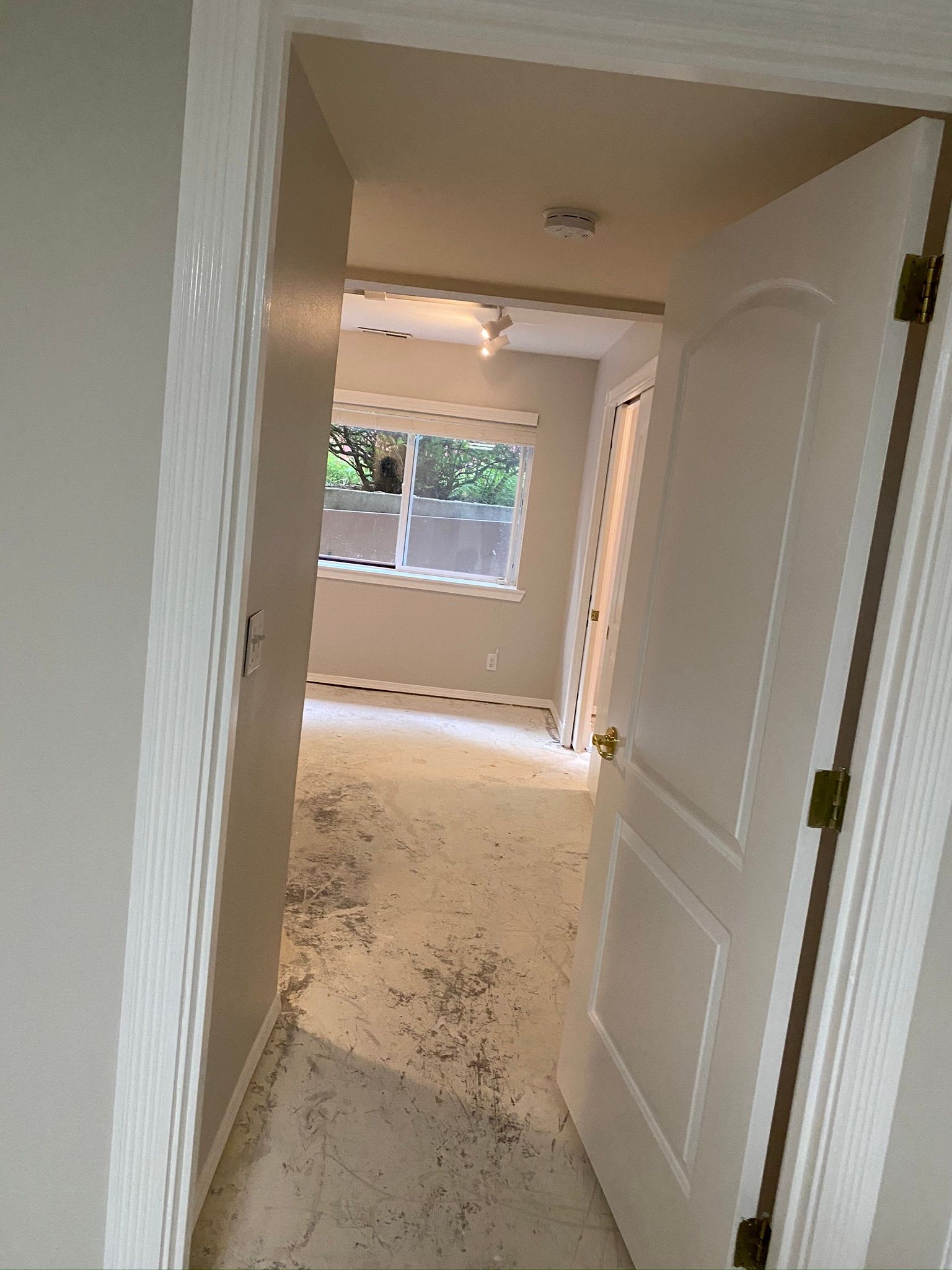  for Tony's Remodeling & Painting in Renton, WA