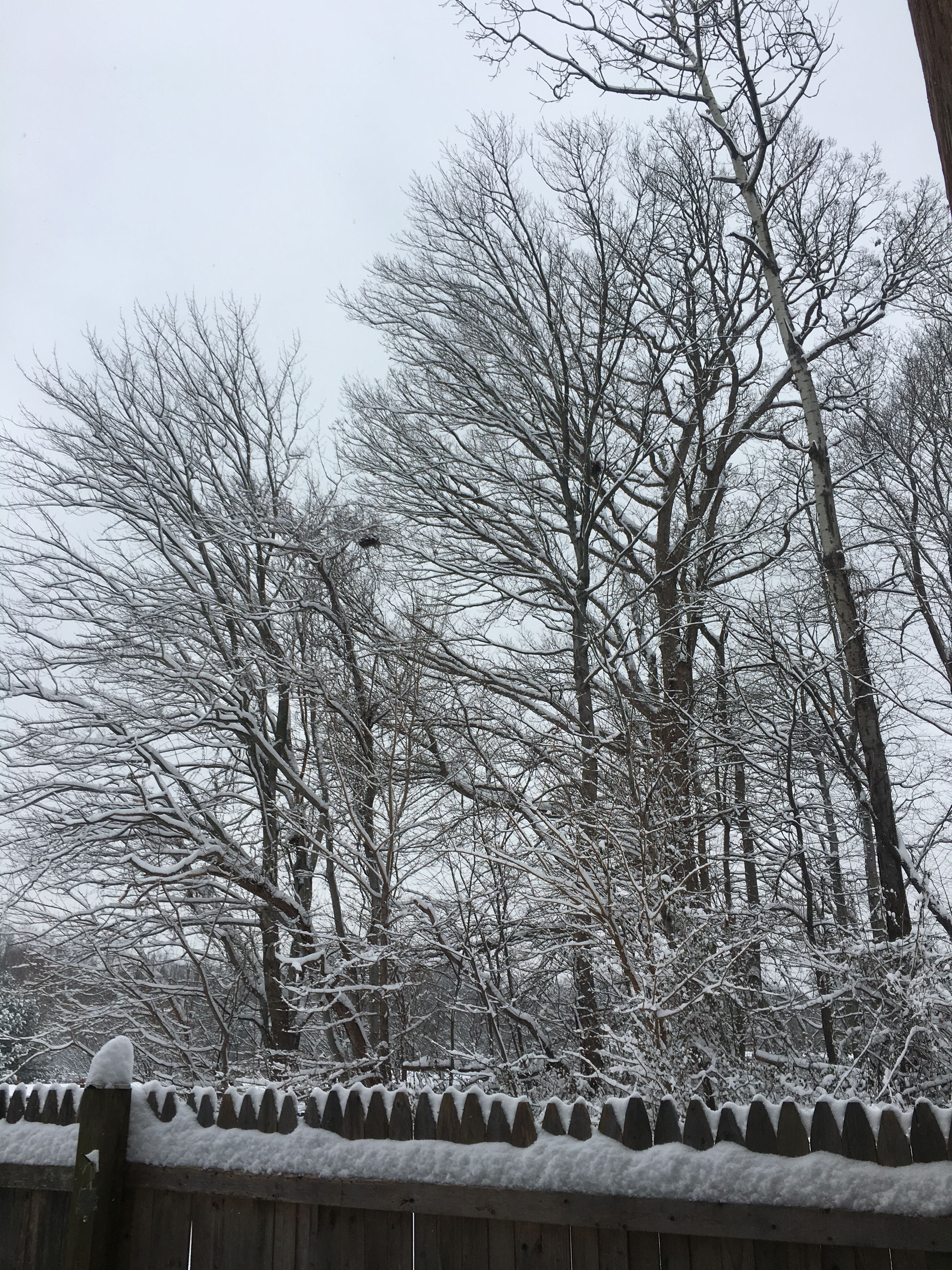  for R Merkli Inc. in Mount Vernon , VA