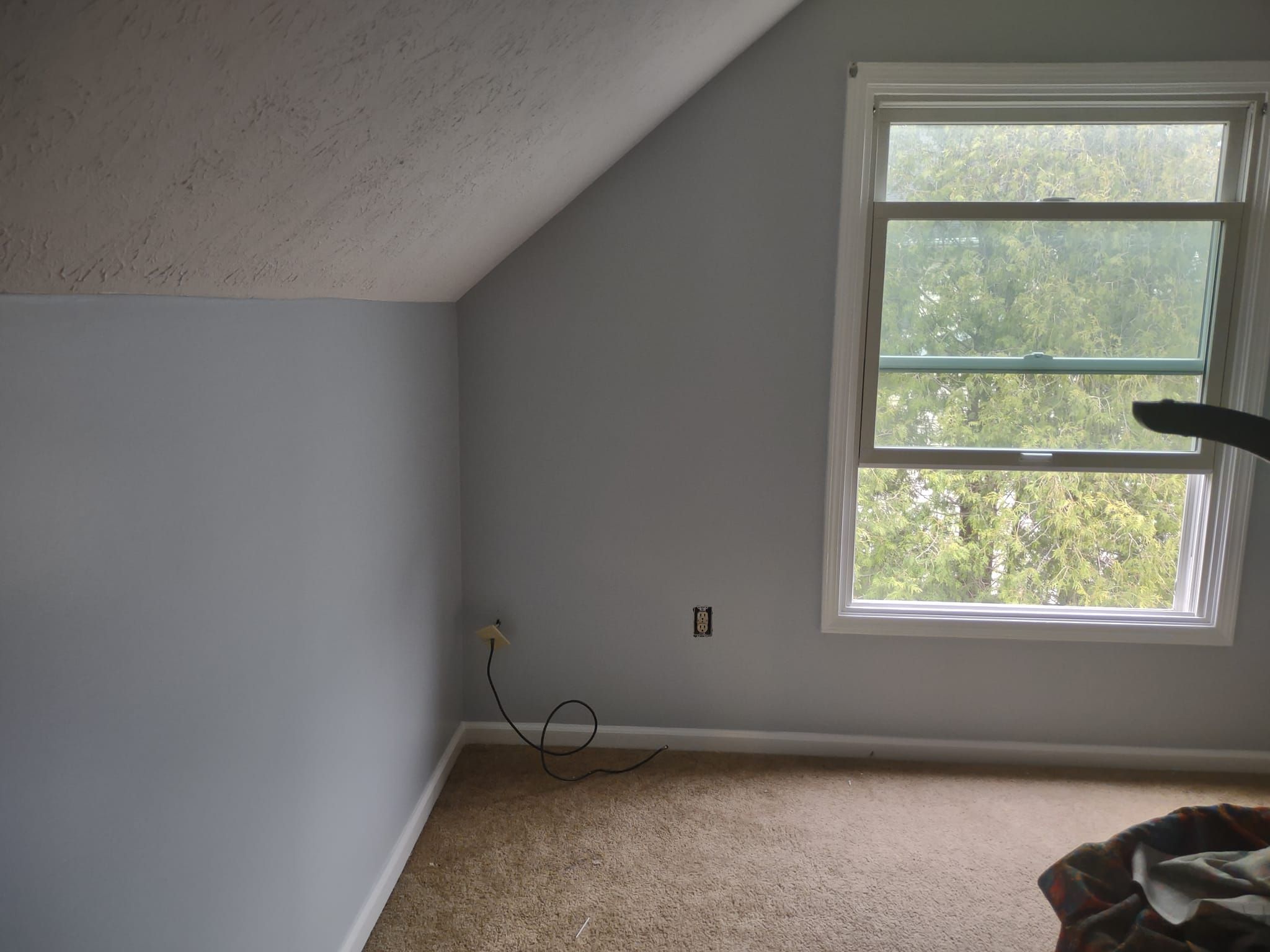  for Painless Painting And Drywall Repair LLC in Rochester, NY