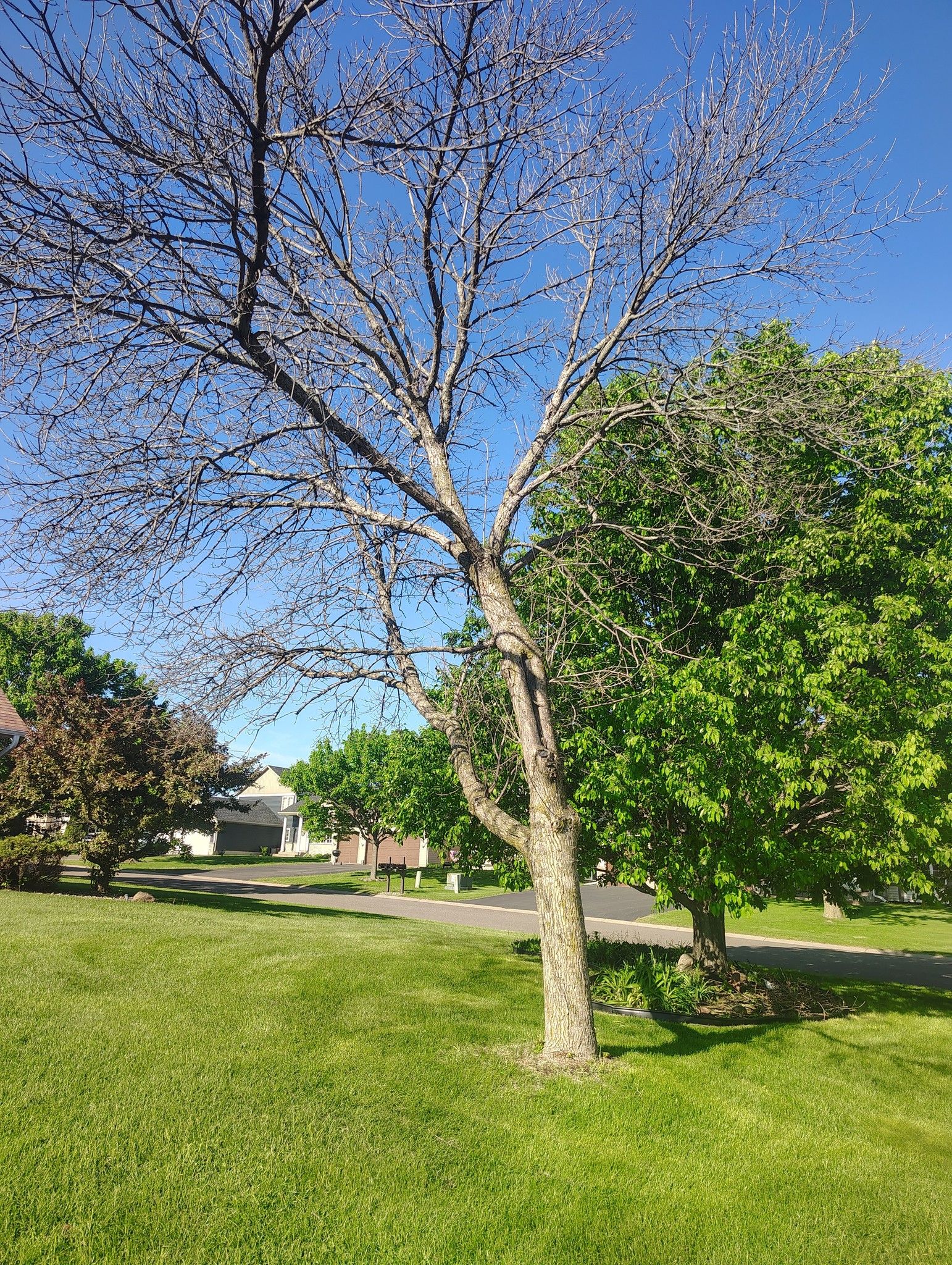 All Photos for Big River lawn Care services and snow LLC in Wausau, WI