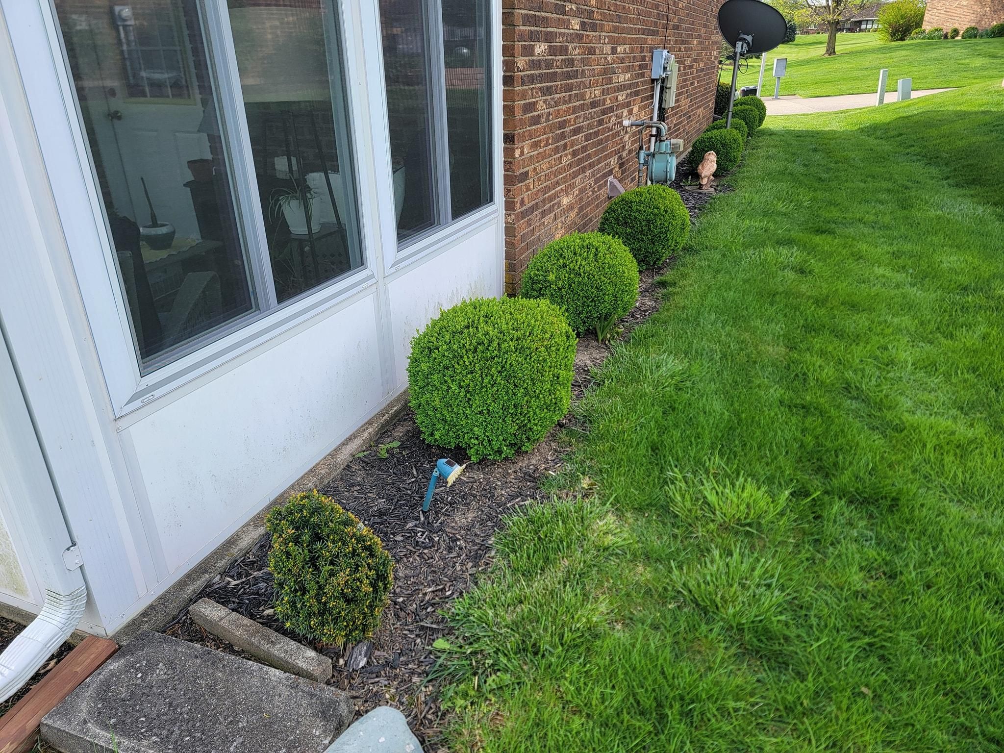 All Photos for Tingley's Green Land Services in Springfield, Ohio