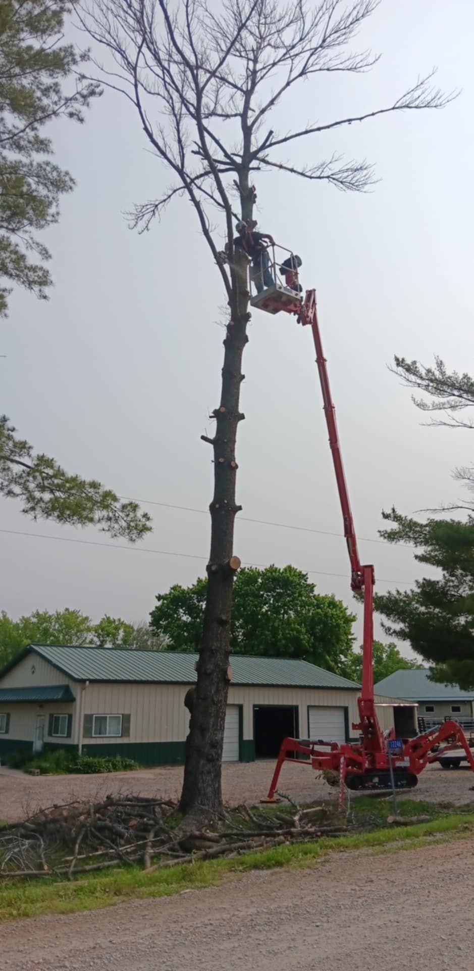  for Lawn Ranger Yard And Tree Service LLC in Ottumwa, IA