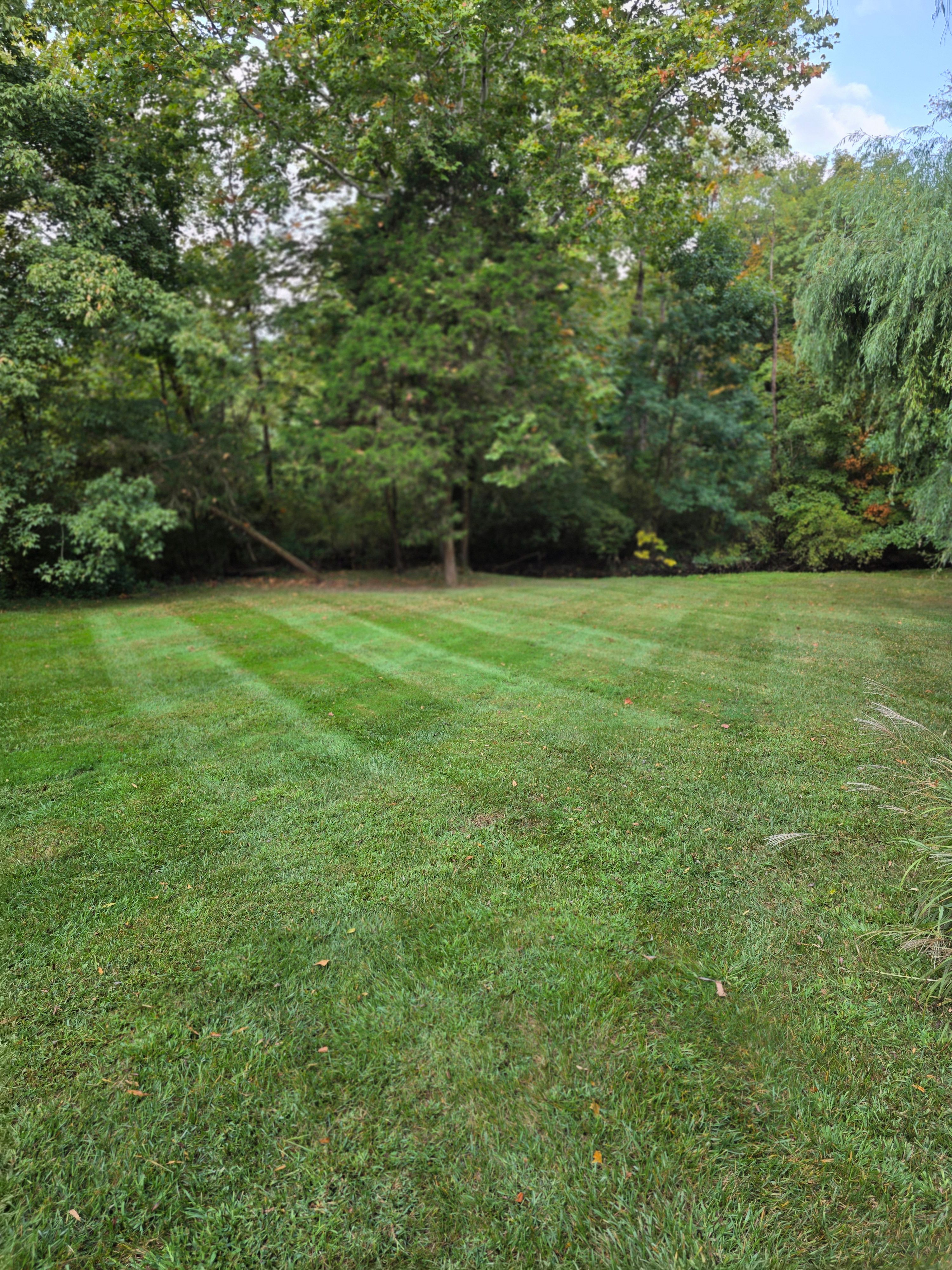  for Nicholson Lawn Care in Jeffersonville, IN