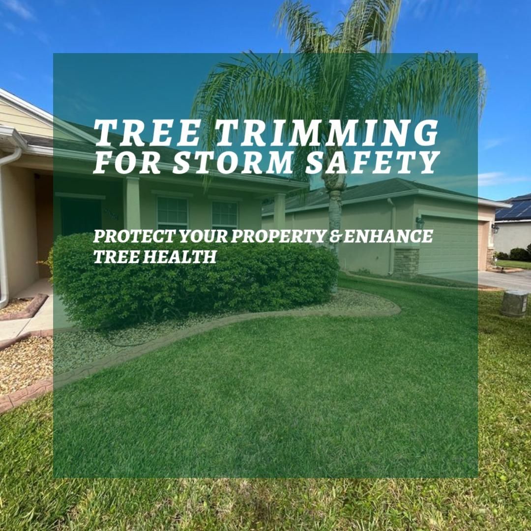 Tree Services for Ludlows Services in Clermont, FL
