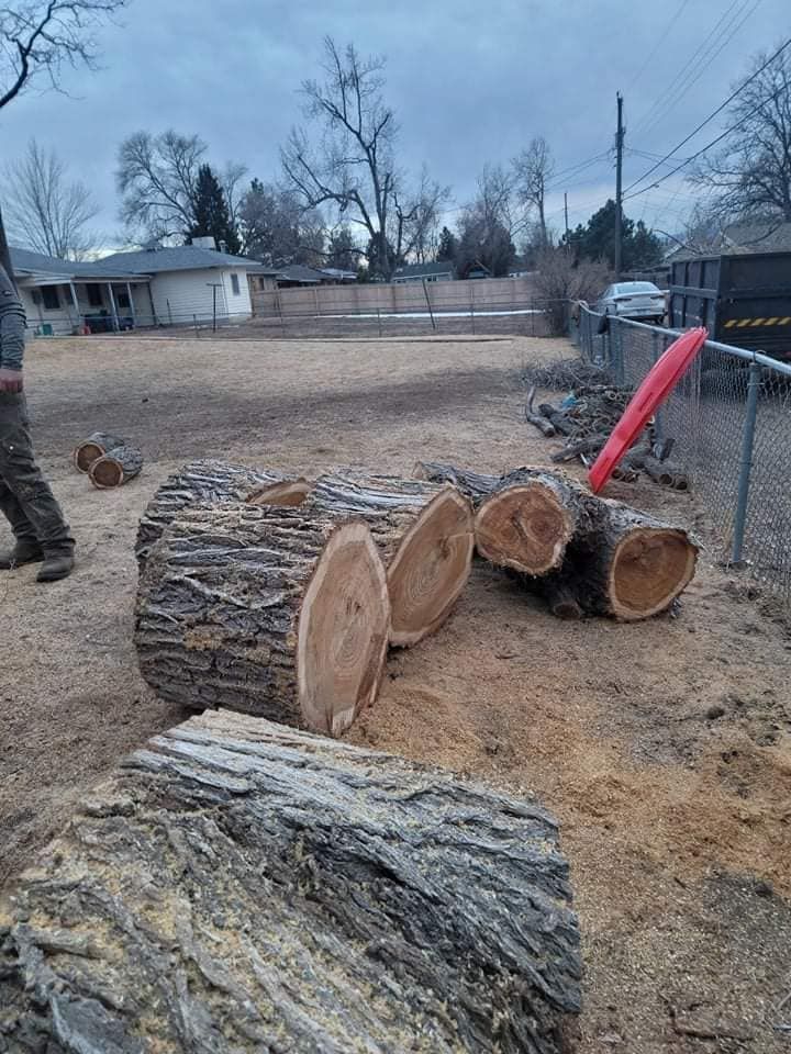  for Sloan Tree Service in Aurora, CO