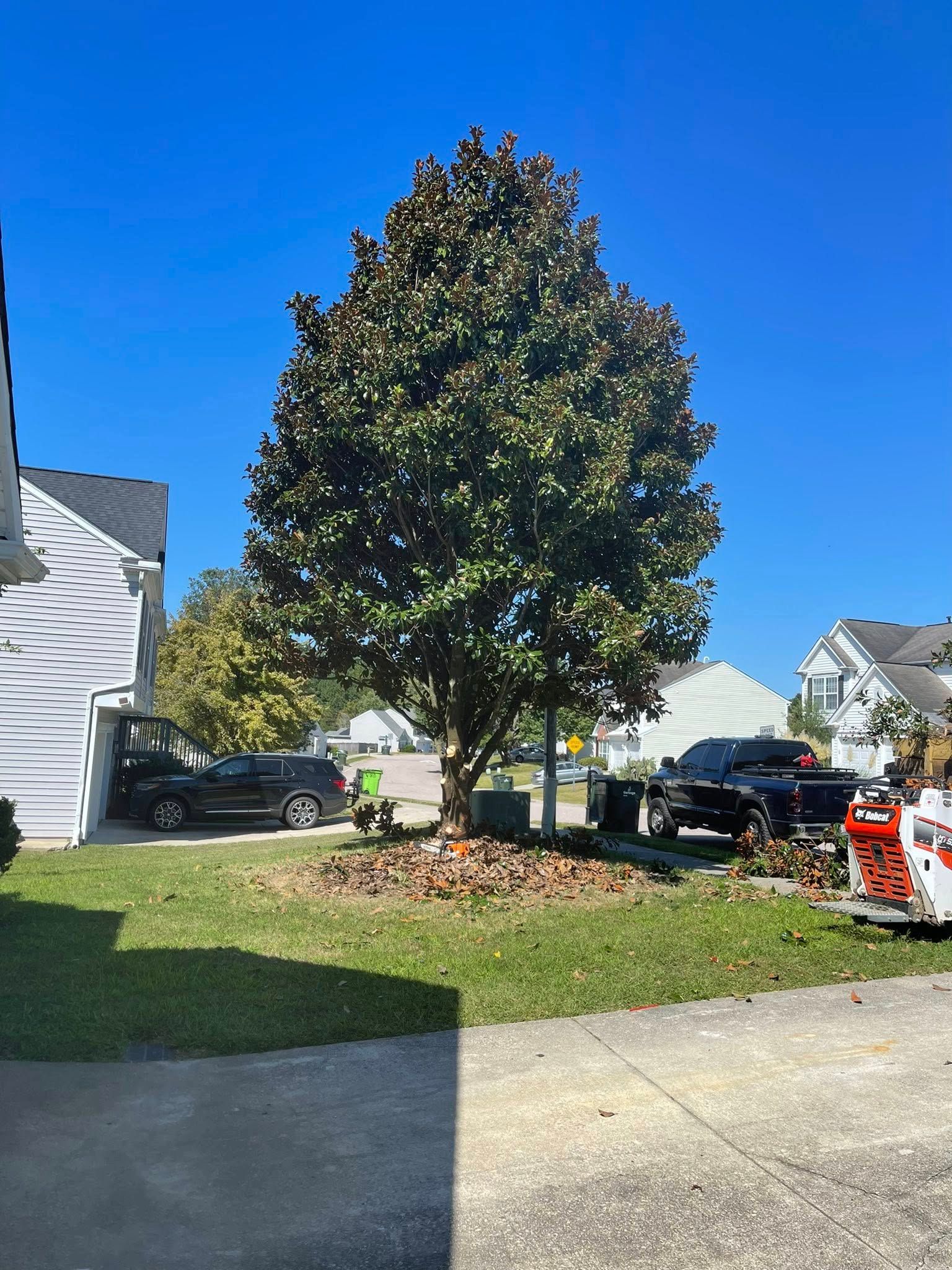  for J&J Tree Services in Raleigh, NC