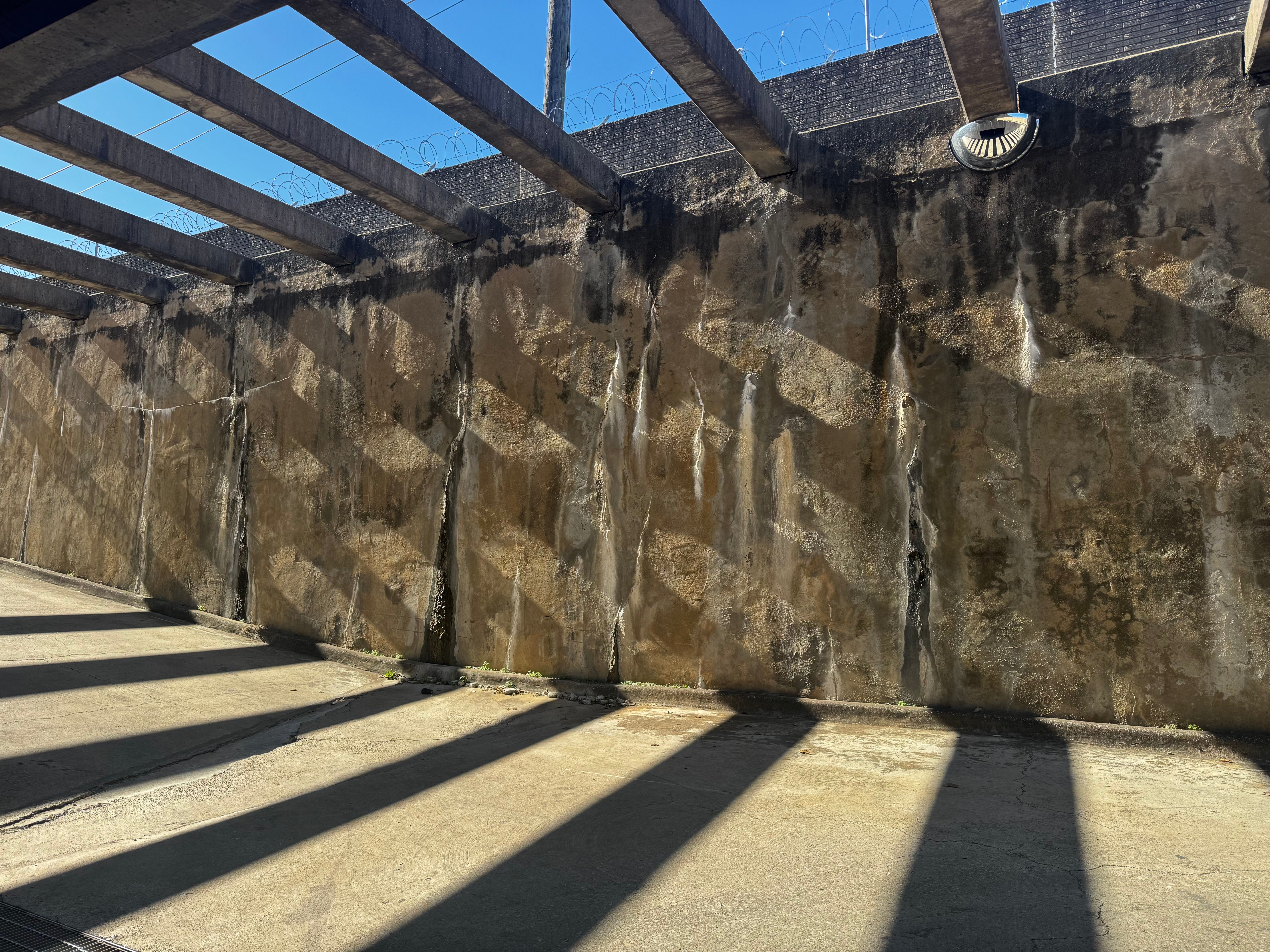  for Allard Structural Engineering and Consulting in The Colony, TX