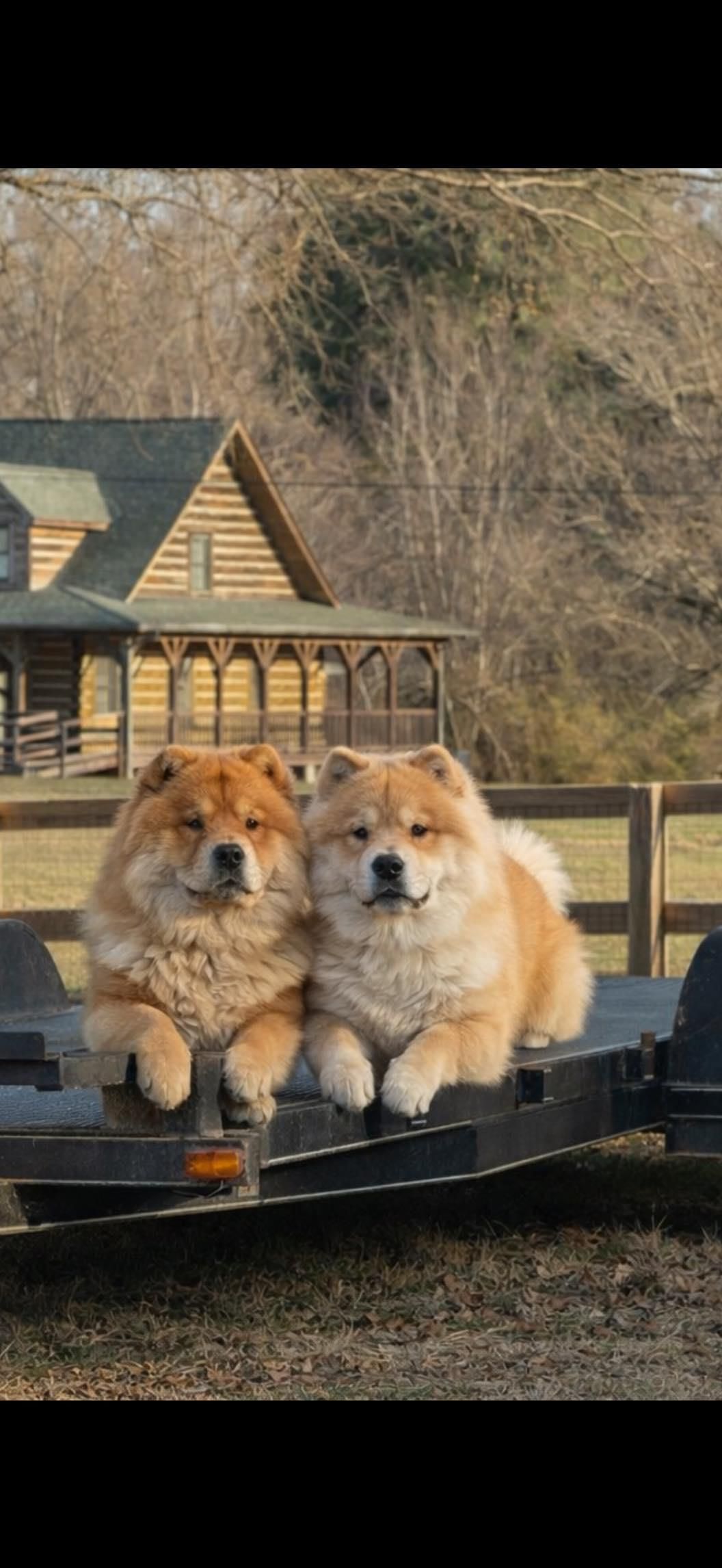  for Northstar Mechanical Services Inc in Charlotte, North Carolina