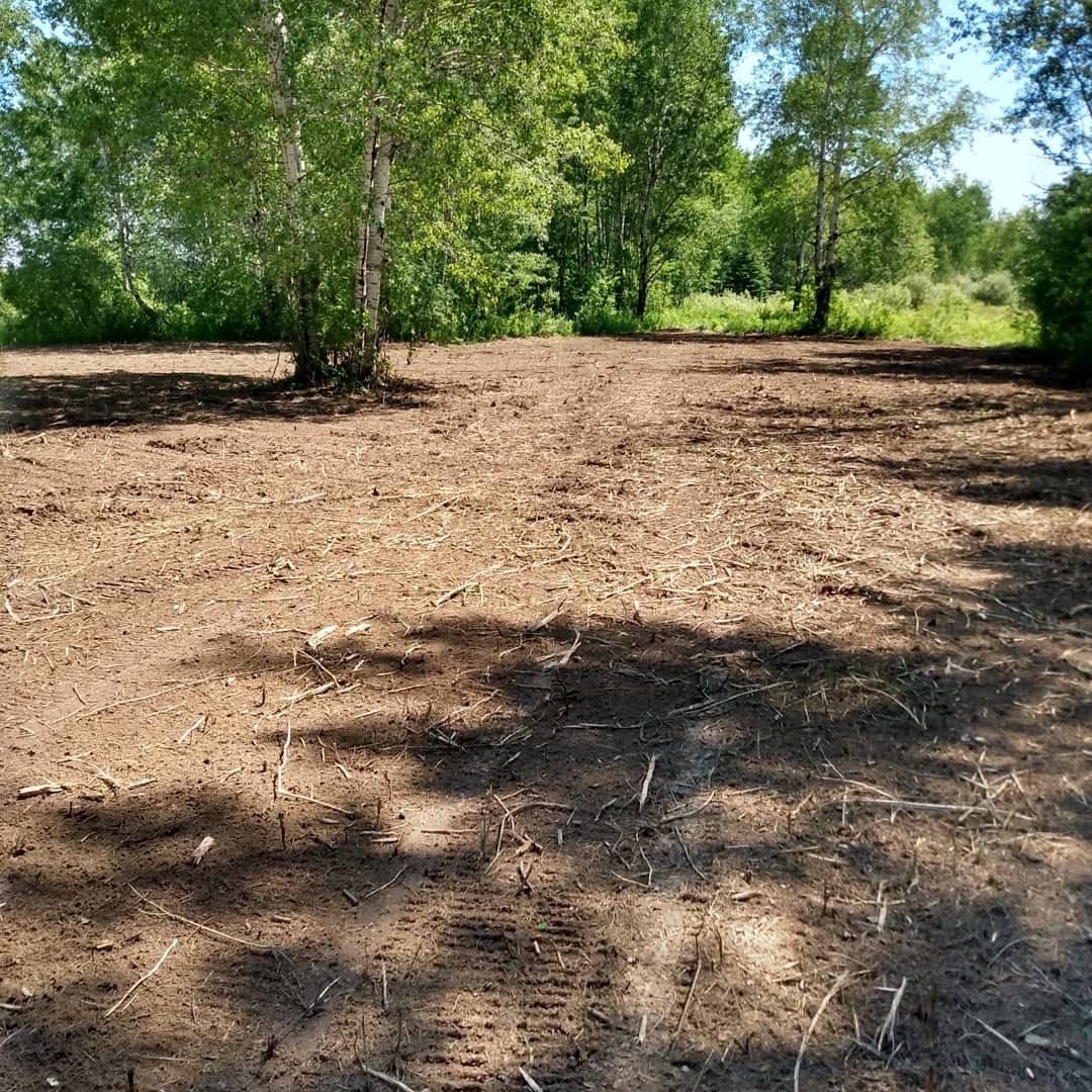  for Central Minnesota Brush Control and Landscaping in Brook Park, MN