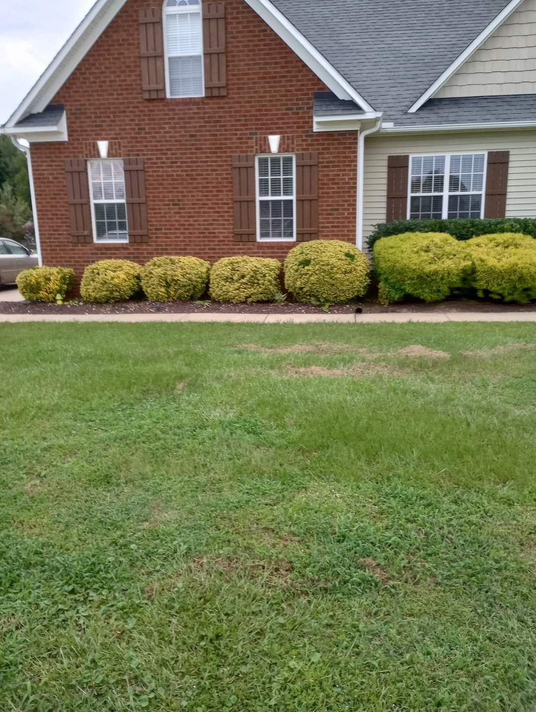  for Handy Al's Landscaping LLC in Greenville, NC