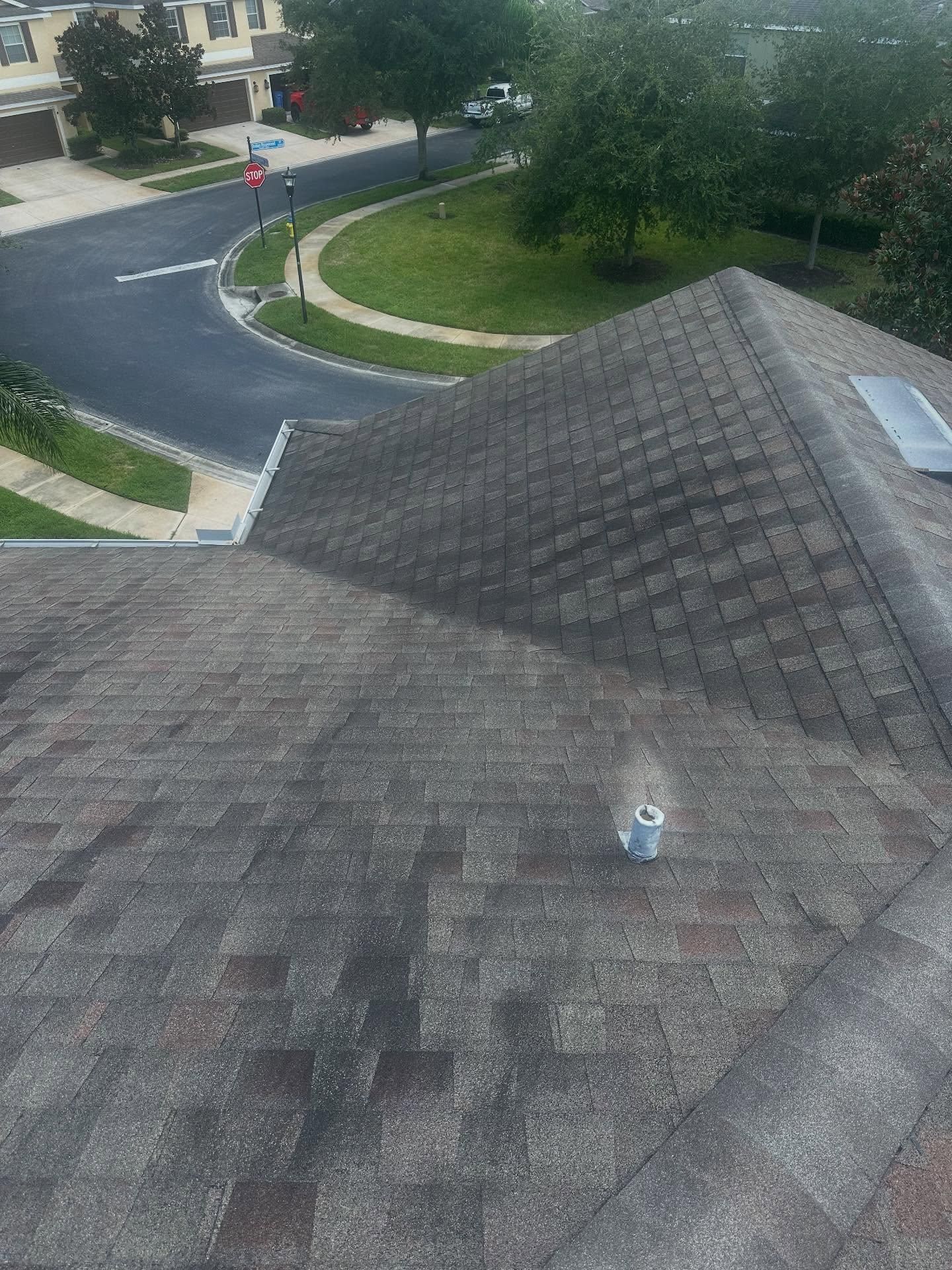  for Storm Strong Roofing in Tampa, FL
