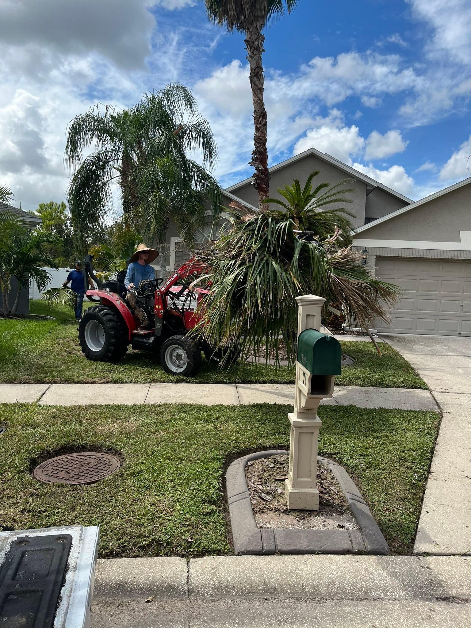  for Bills Tree Service in Valrico, FL