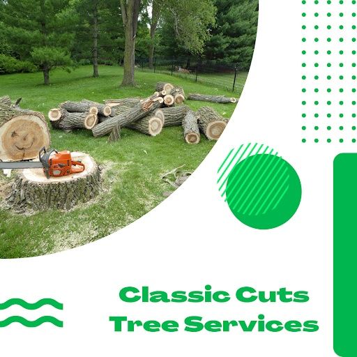  for Classic cut tree trimming and removal in Arlington, TX
