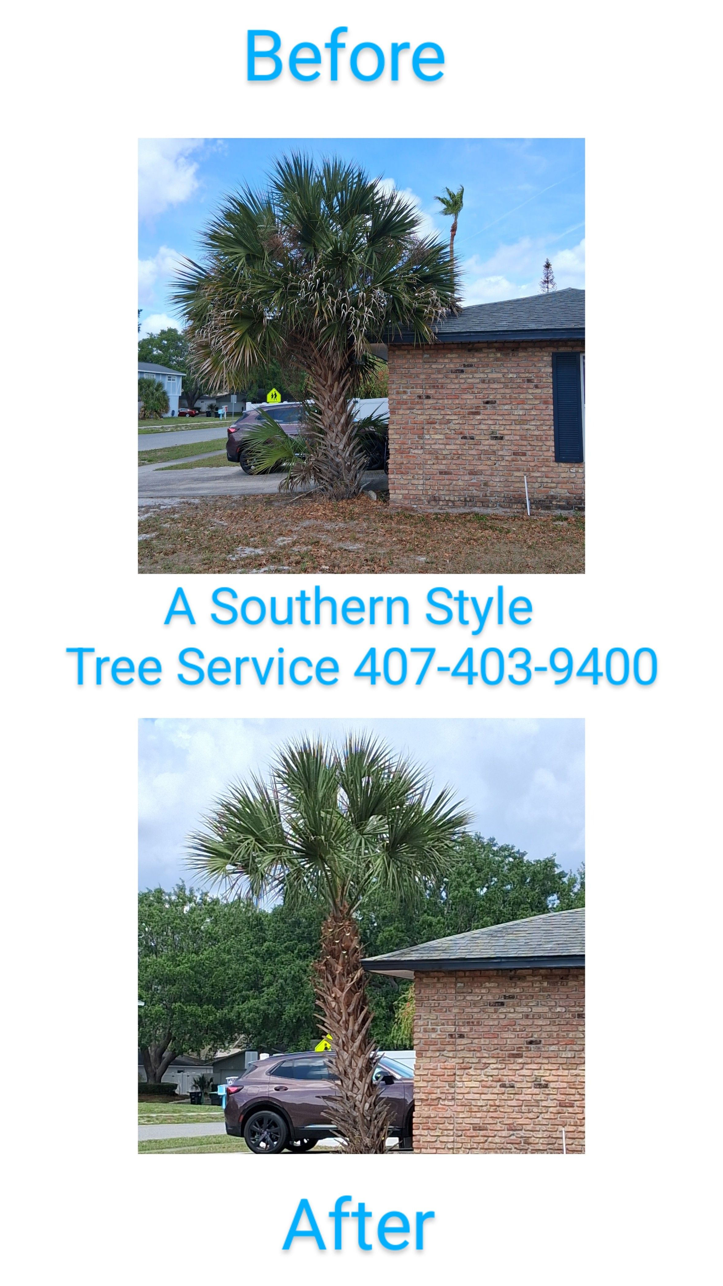  for A Southern Style Tree Service in Orlando, FL