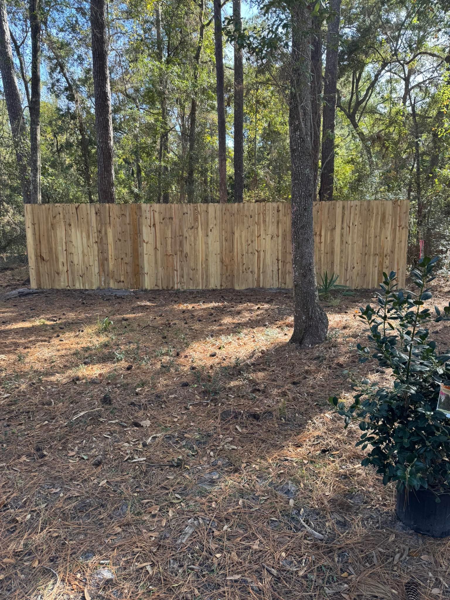  for KM Exteriors & Renovations LLC in Savannah, GA