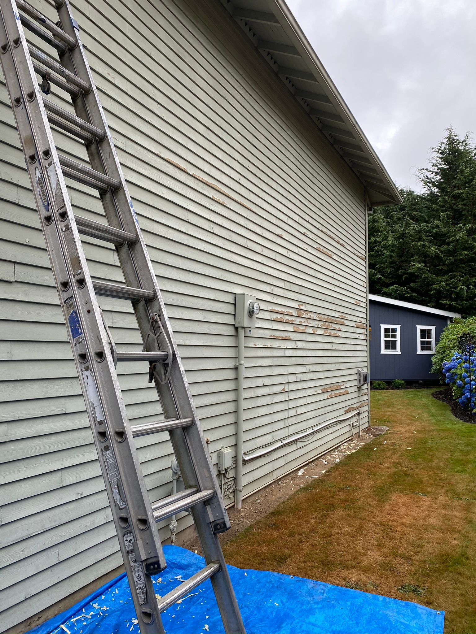  for Tony's Remodeling & Painting in Renton, WA