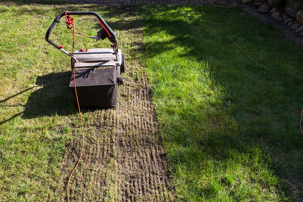  for Soto Green Co. in Milford, PA