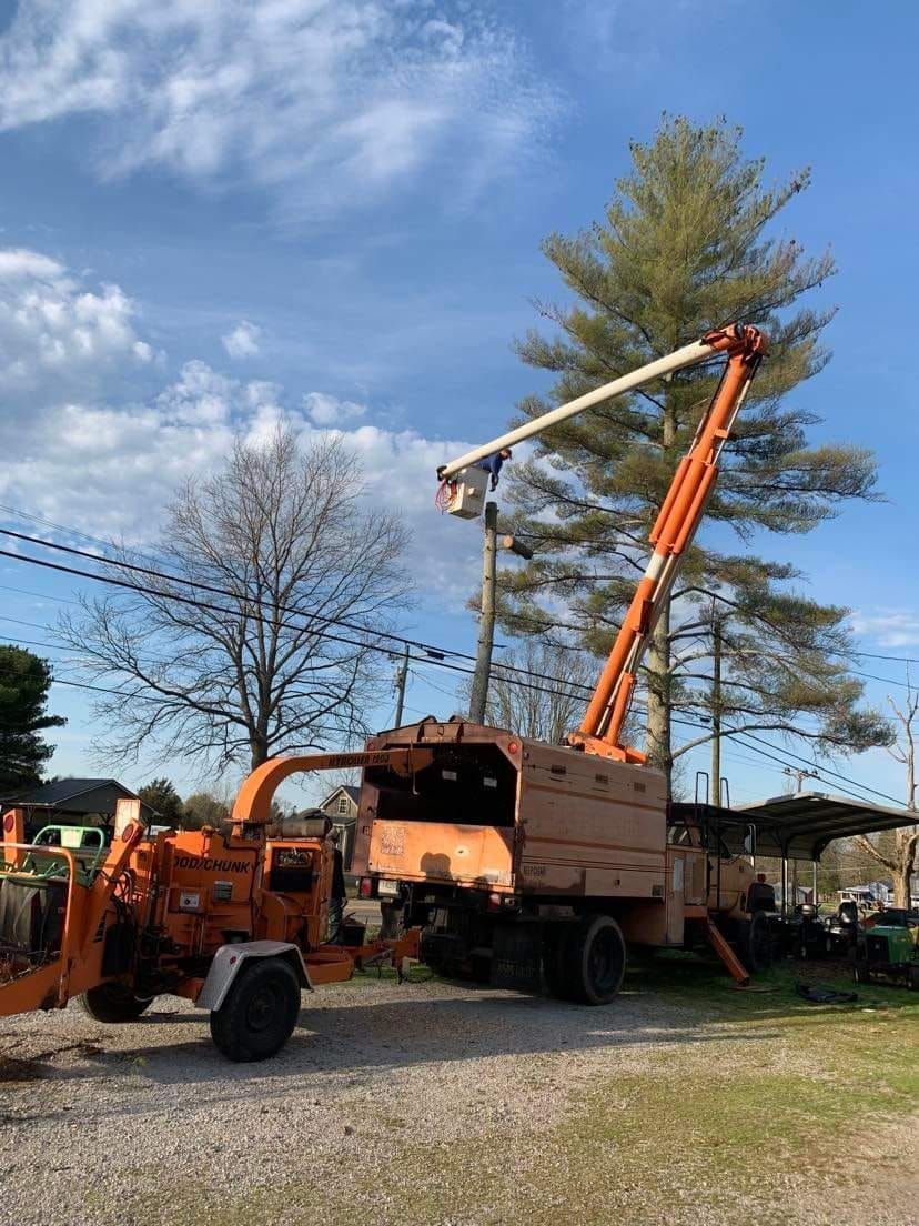  for Scott's Tree Service in Athens, TN