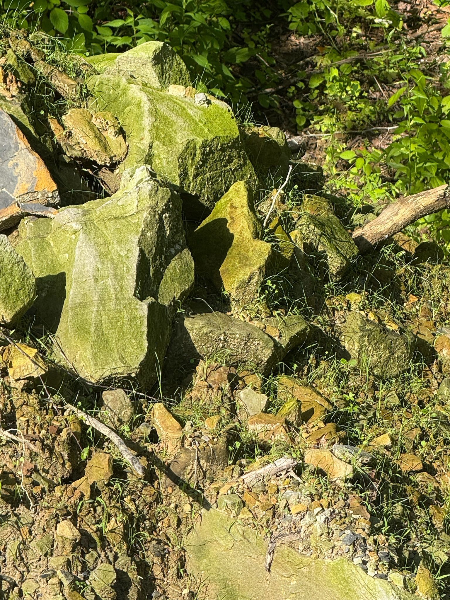  for Hale’s Hydroseeding in London, KY