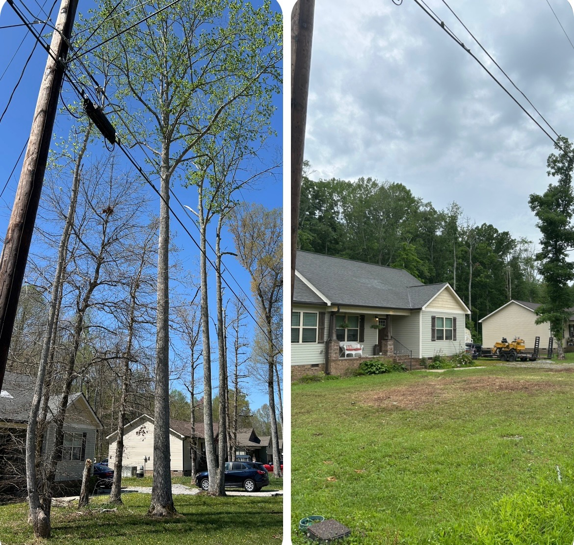  for McBee’s Tree Service in Sewanee, TN