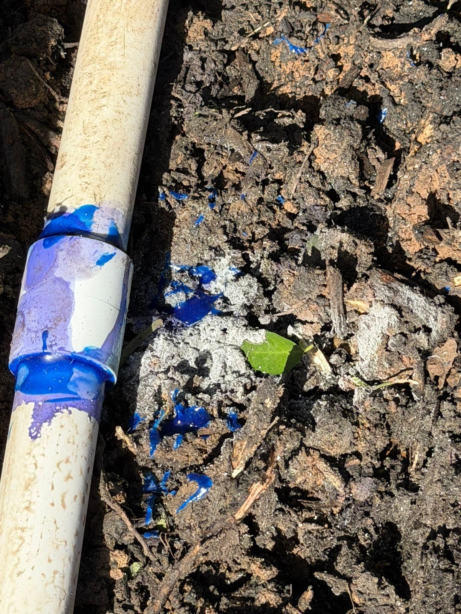  for Texas Curb N Borders in Houston, TX