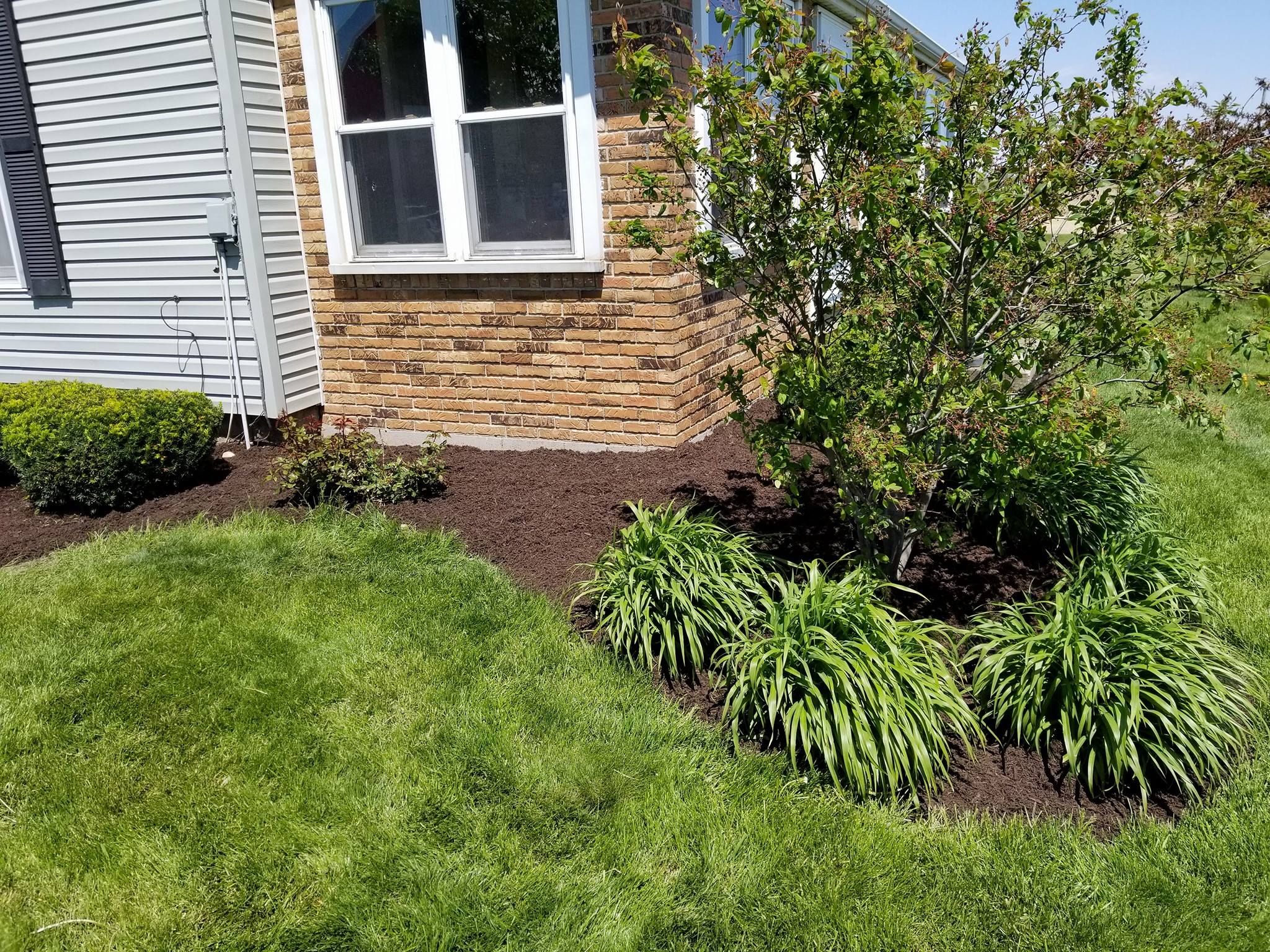  for Stout Mowing & Services LLC in Huntington, IN