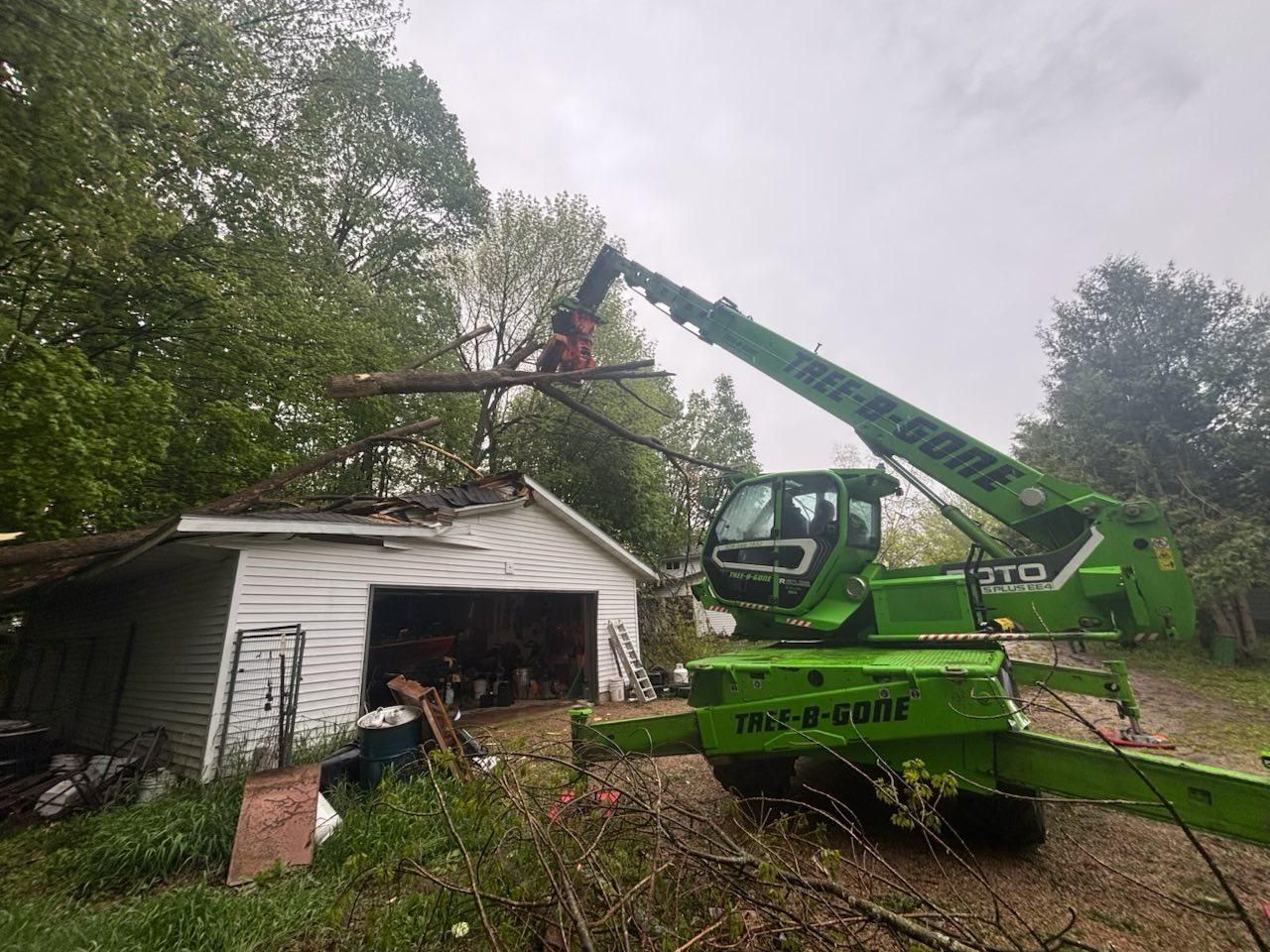  for Tree-B-Gone in Appleton, WI