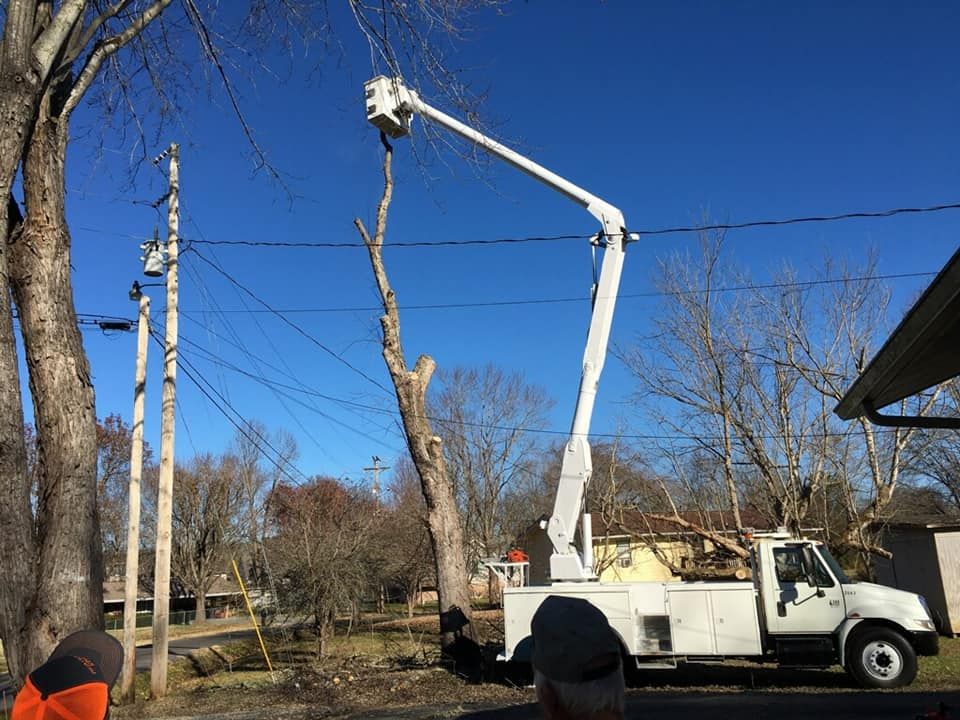  for Reagan & Sons Tree Service in Dandridge, TN