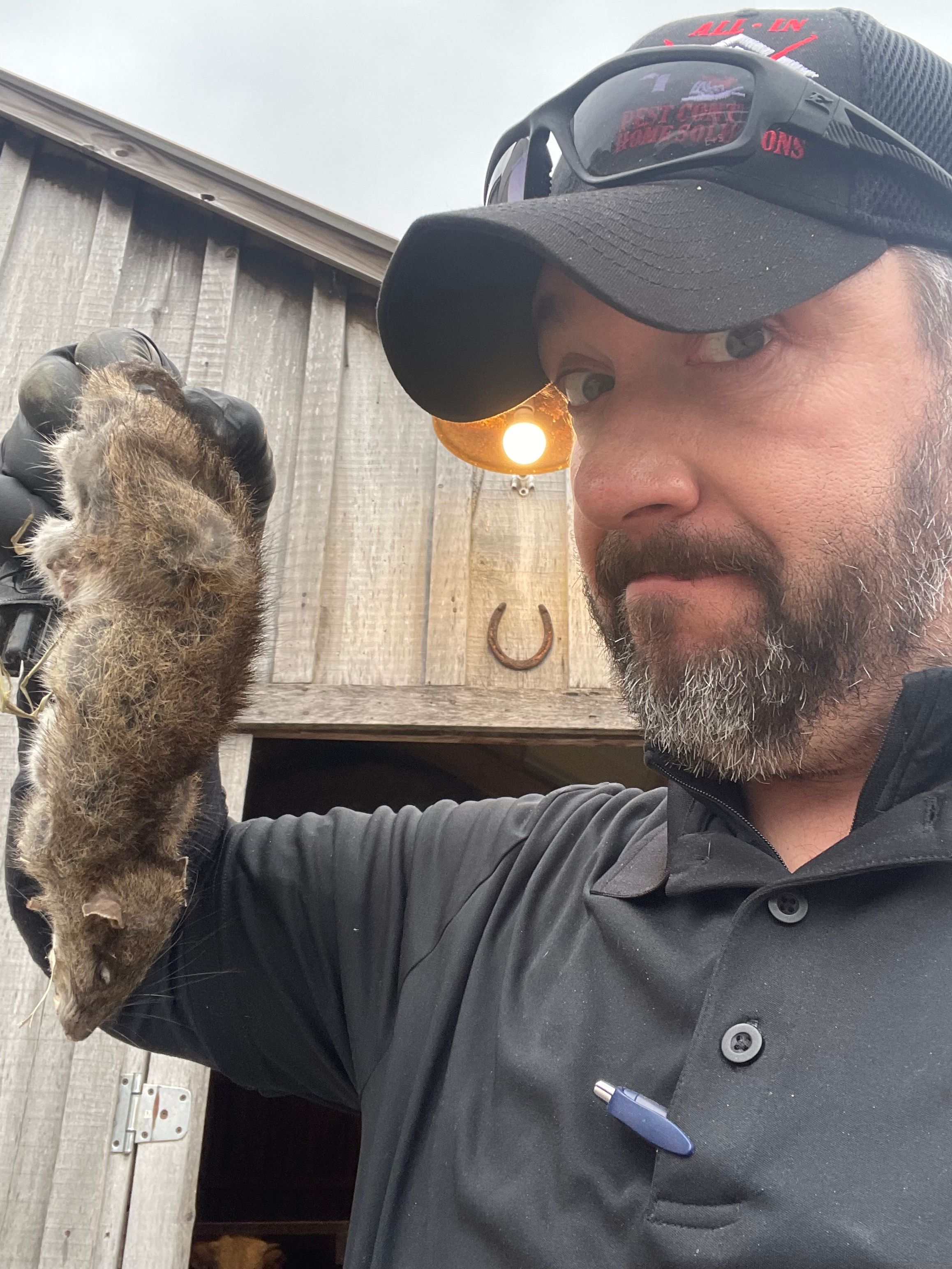  for All-In Pest Control & Home Solutions in Greene County, IN